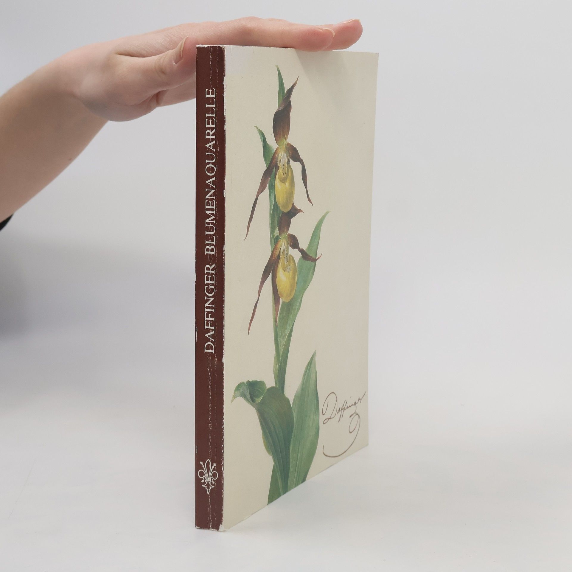 Die Blumenaquarelle des Moritz Michael Daffinger