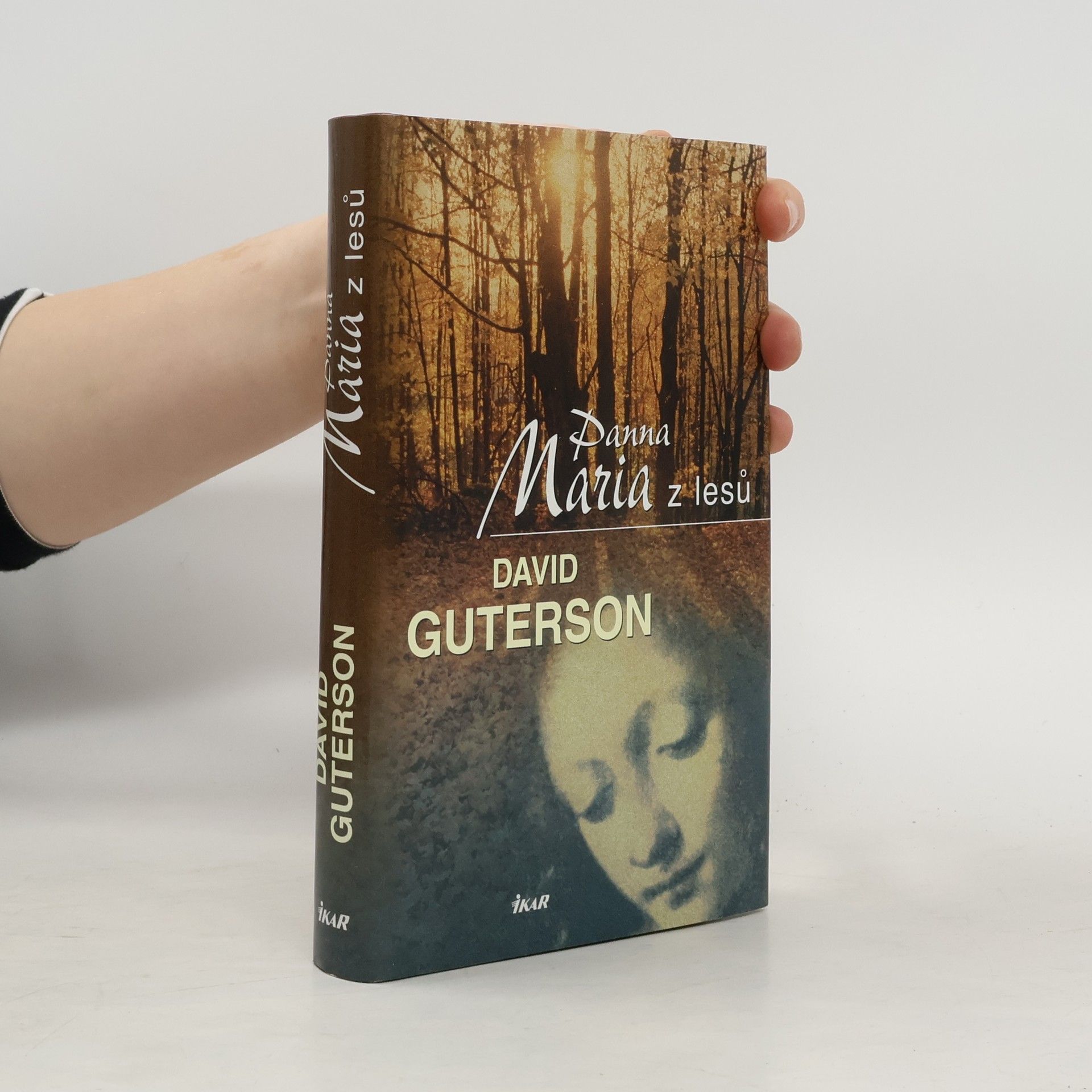 David Guterson Panna Maria z lesů