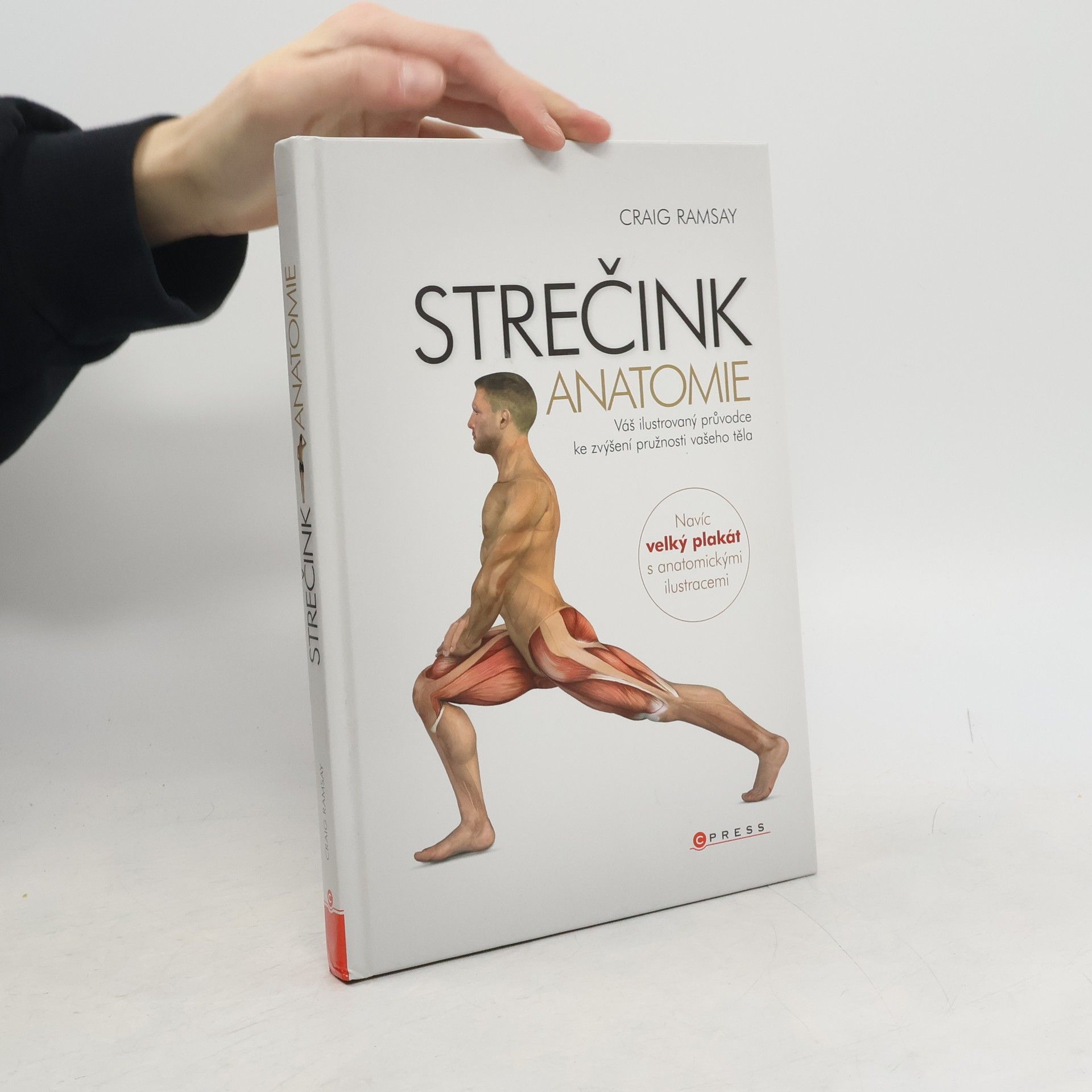 Craig Ramsay Strečink - anatomie