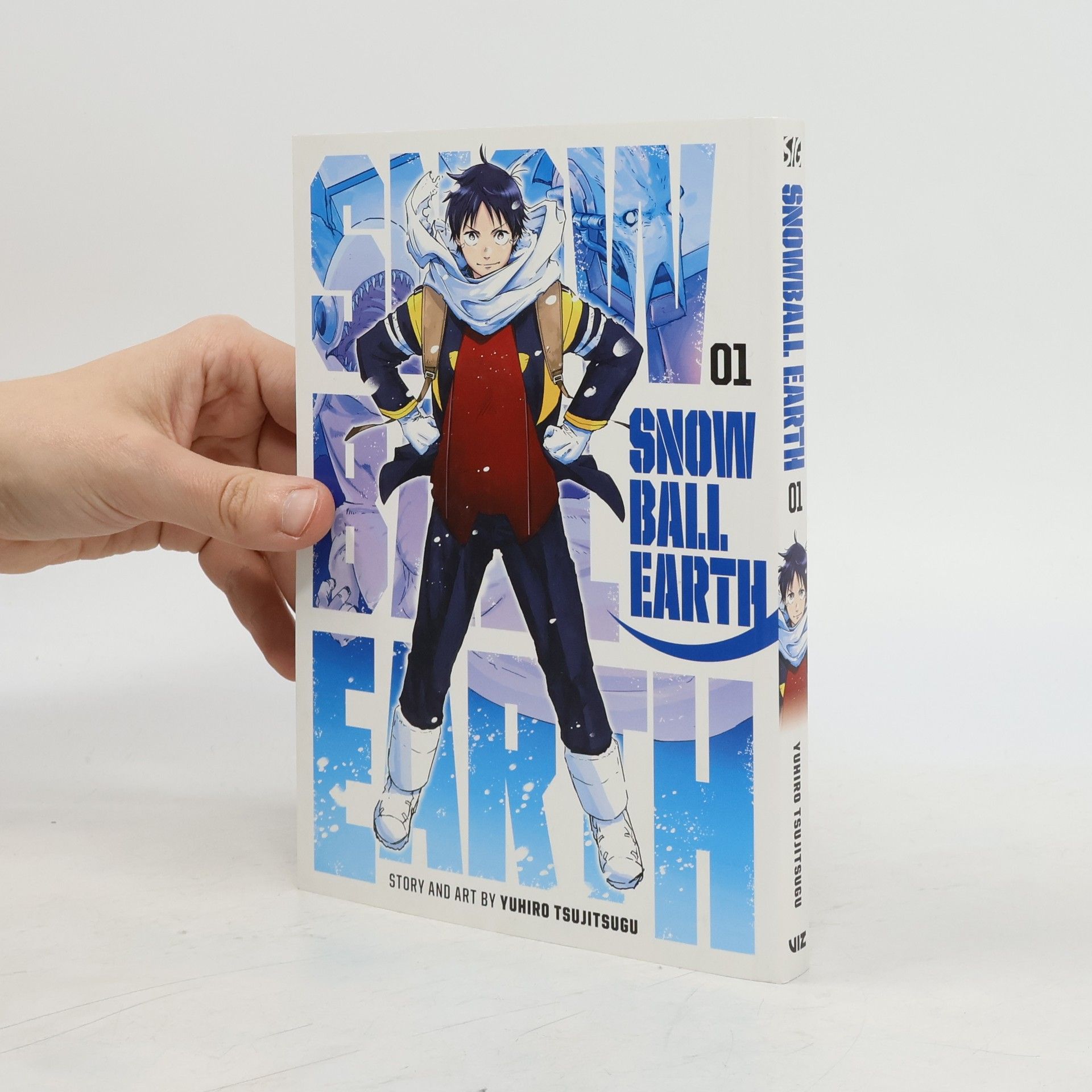 Yuhiro Tsujitsugu Snowball Earth 1