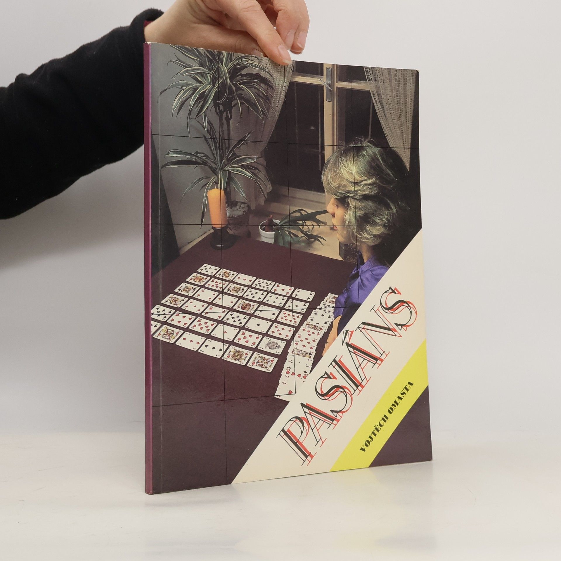 Vojtěch Omasta Pasiáns: Hry trpělivosti