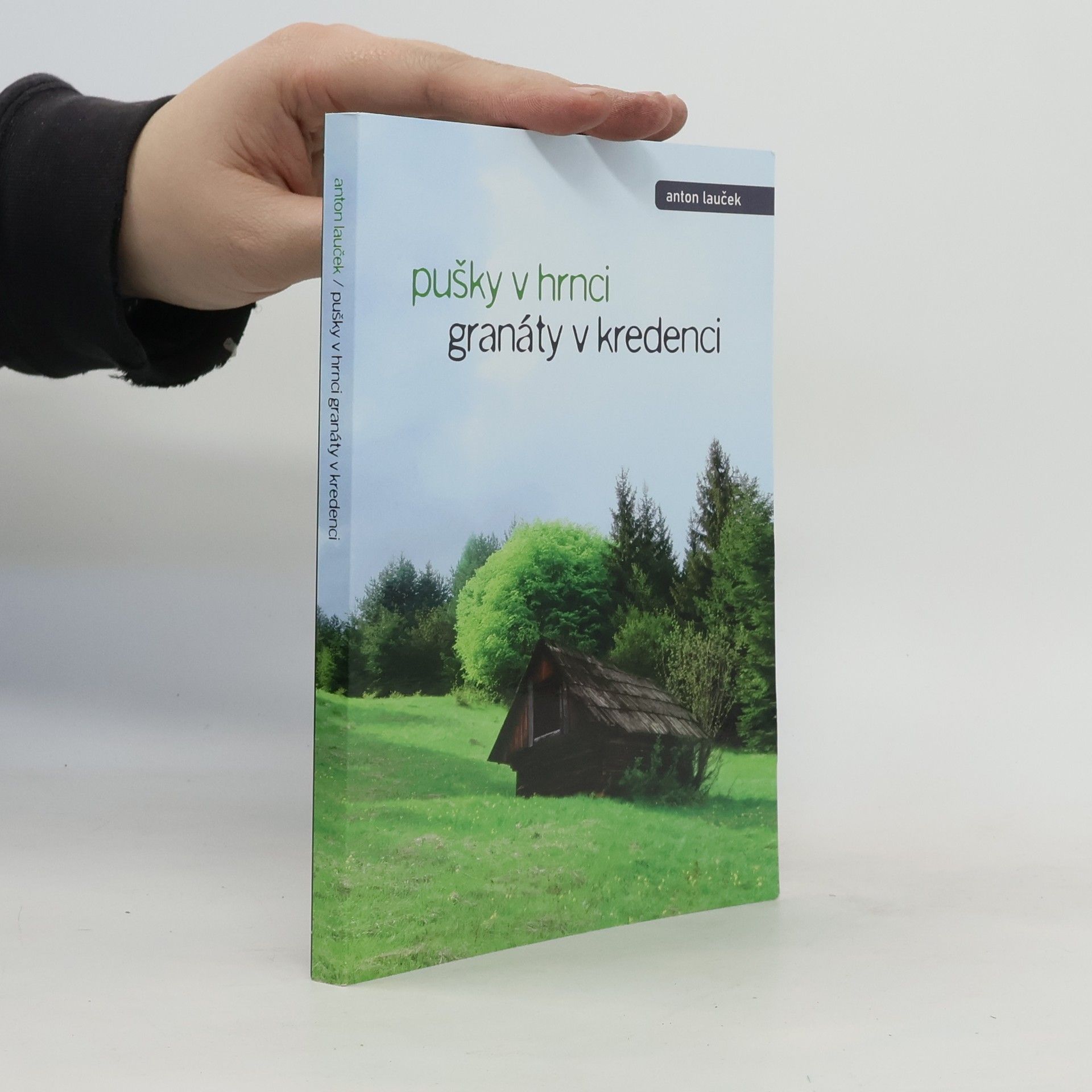 Anton Lauček Pušky v hrnci, granáty v kredenci