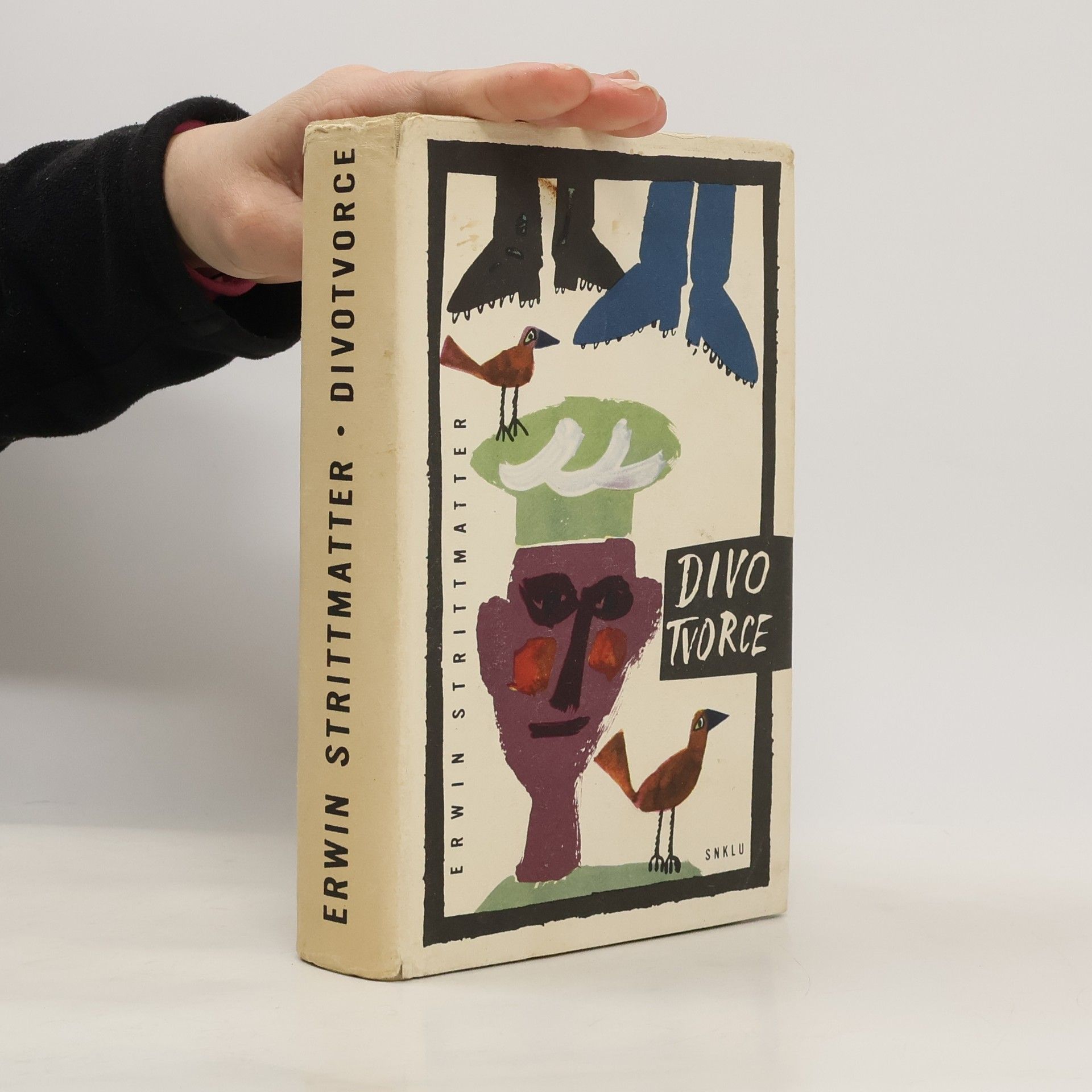 Erwin Strittmatter Divotvorce