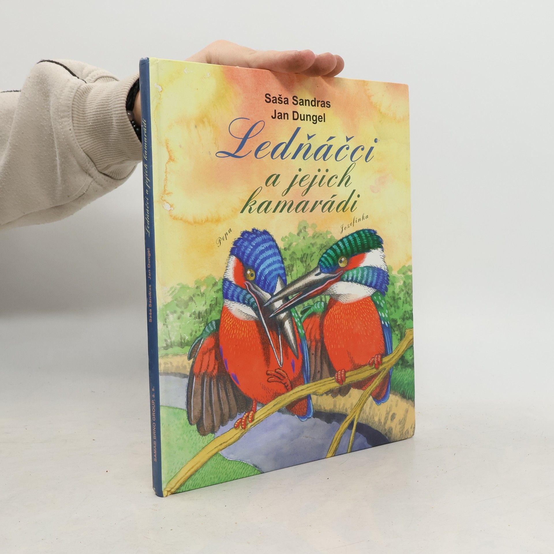 Saša Sandras Ledňáčci a jejich kamarádi