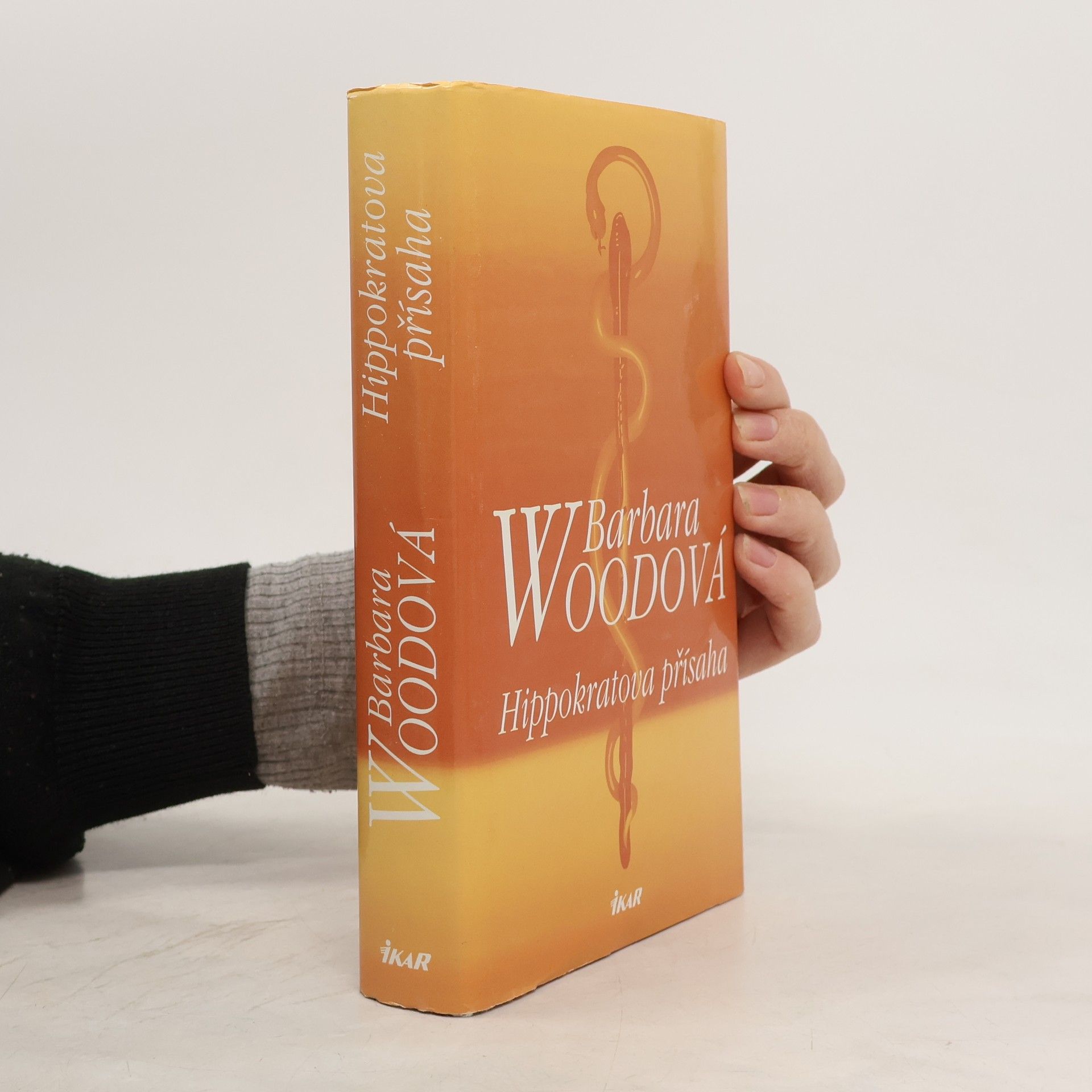 Barbara Wood Hippokratova přísaha