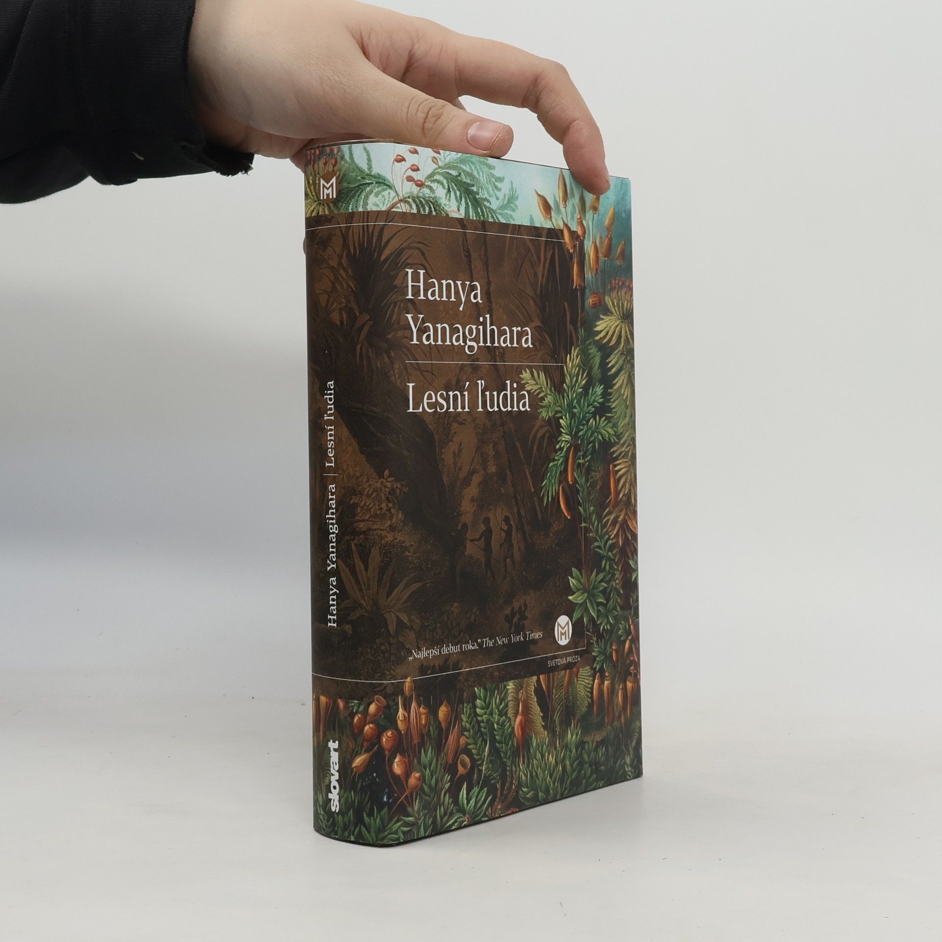 Hanya Yanagihara Lesní ľudia