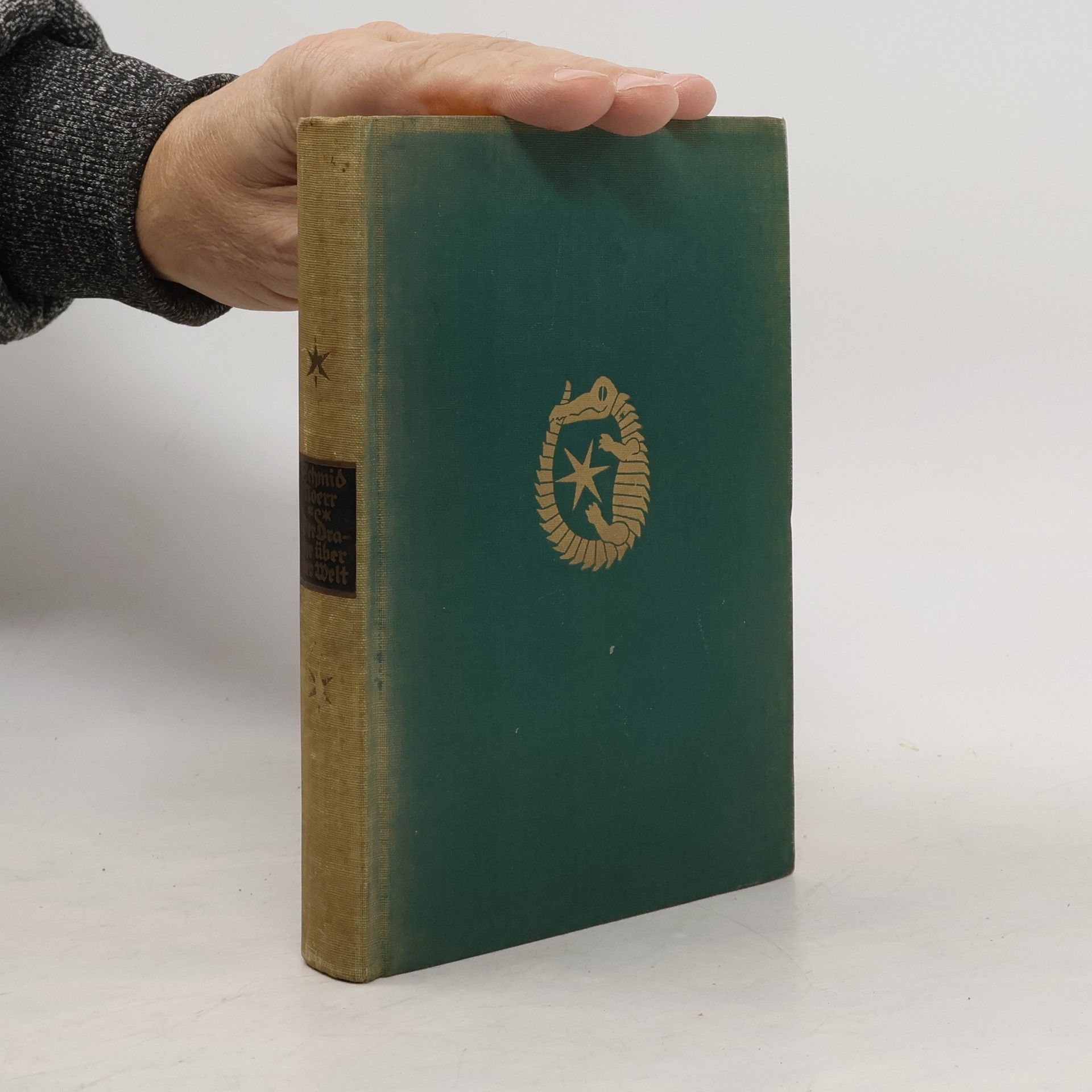 Der Drache über der Welt