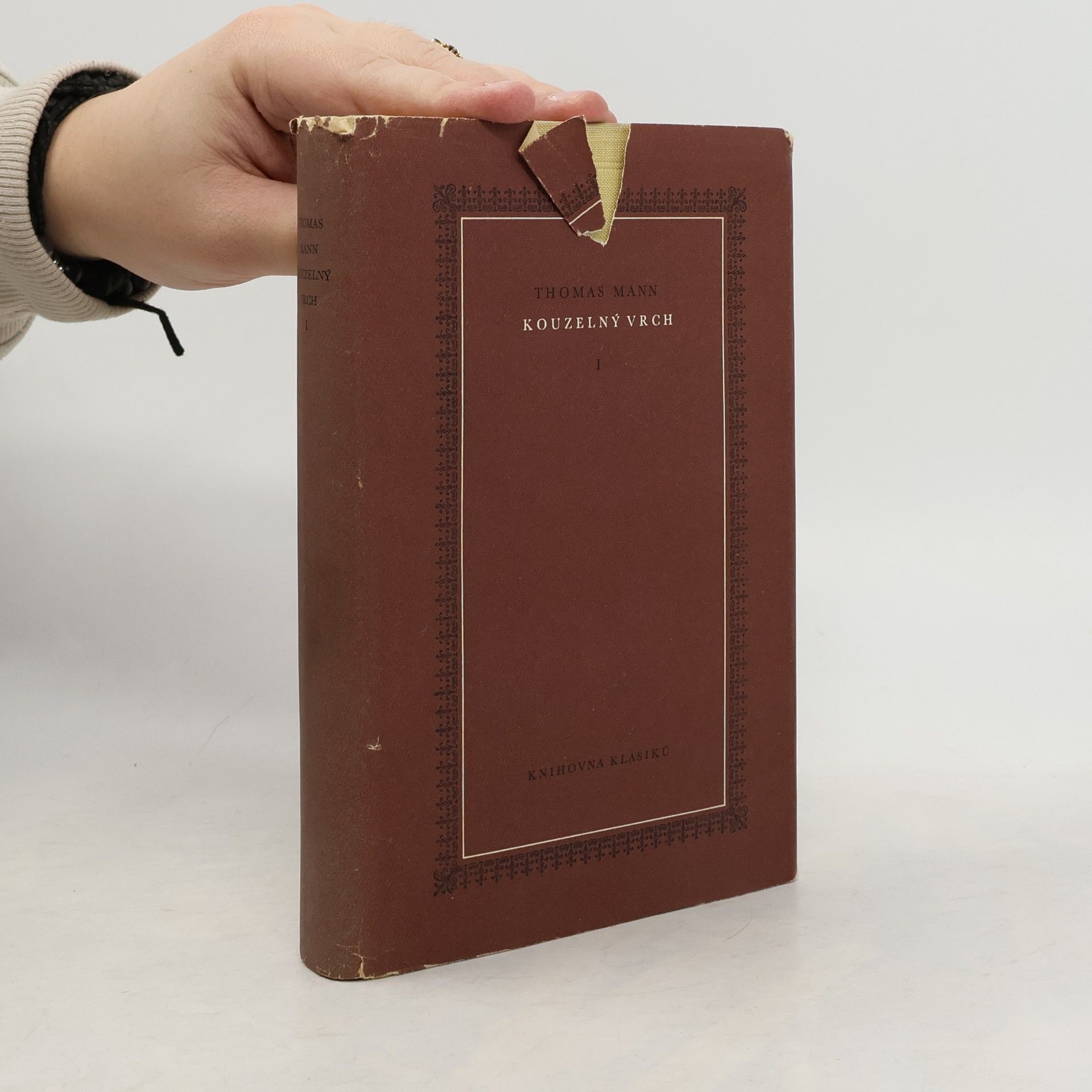 Thomas Mann Kouzelný vrch I.