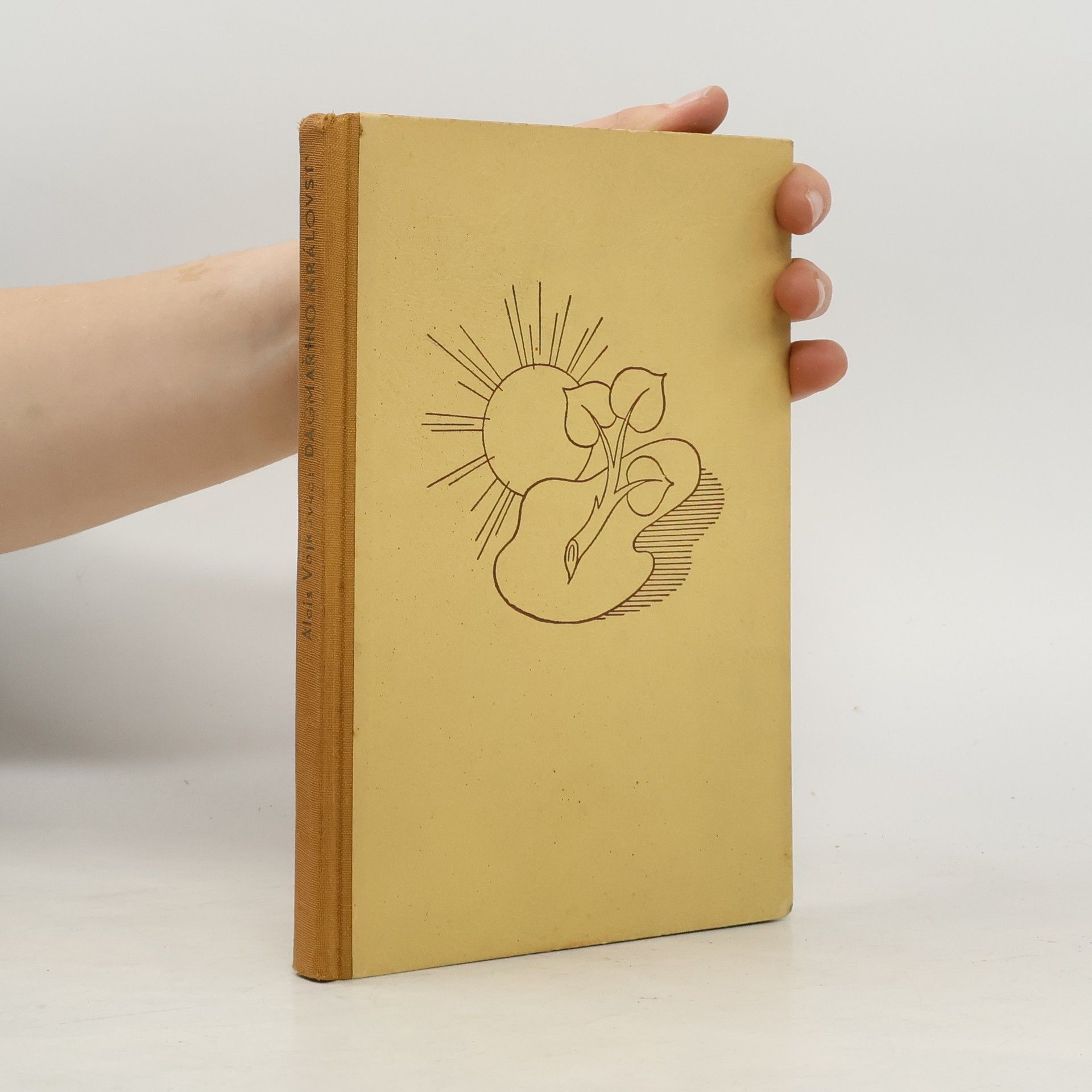 Dagmařino království