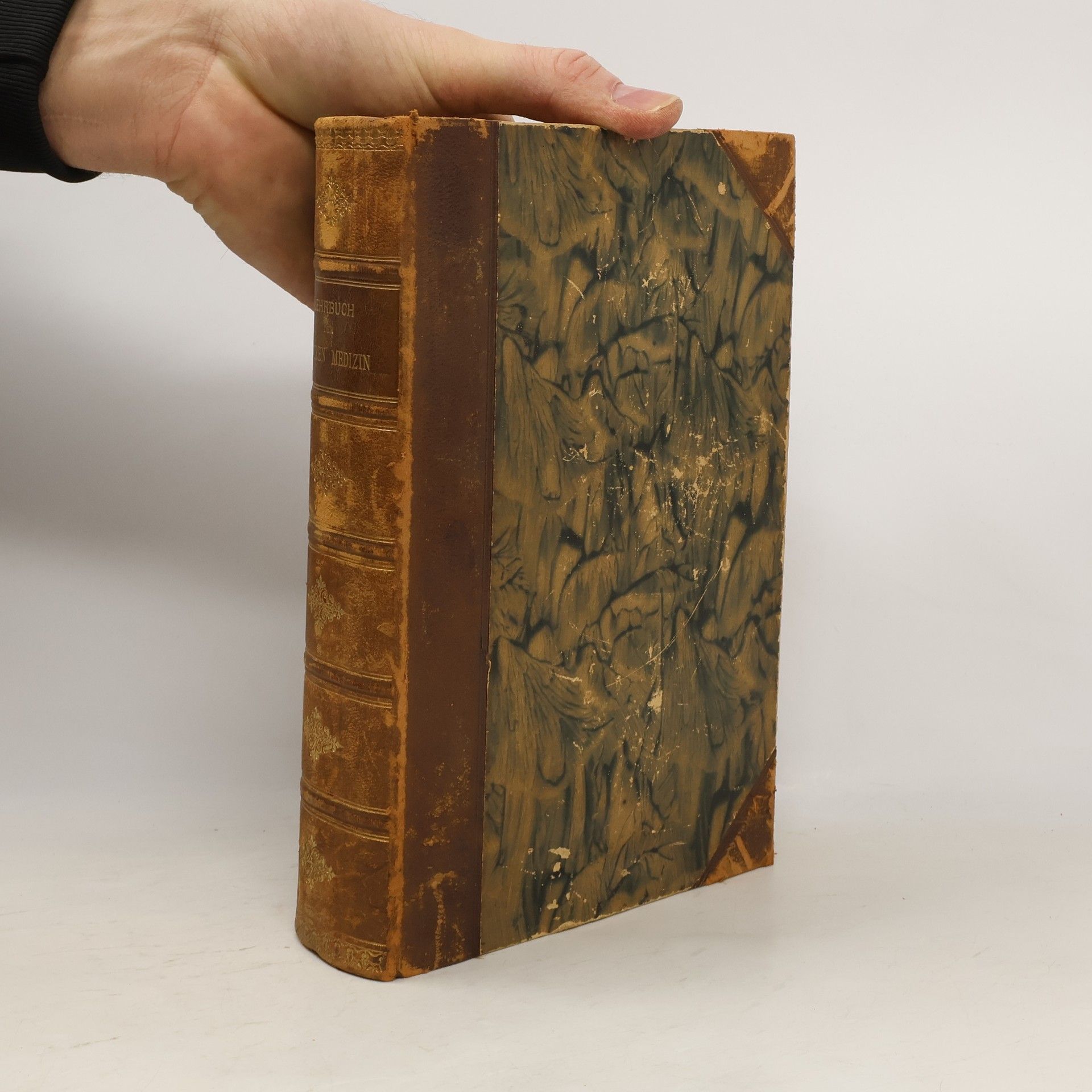 J. von Mering Lehrbuch der Inneren Medizin