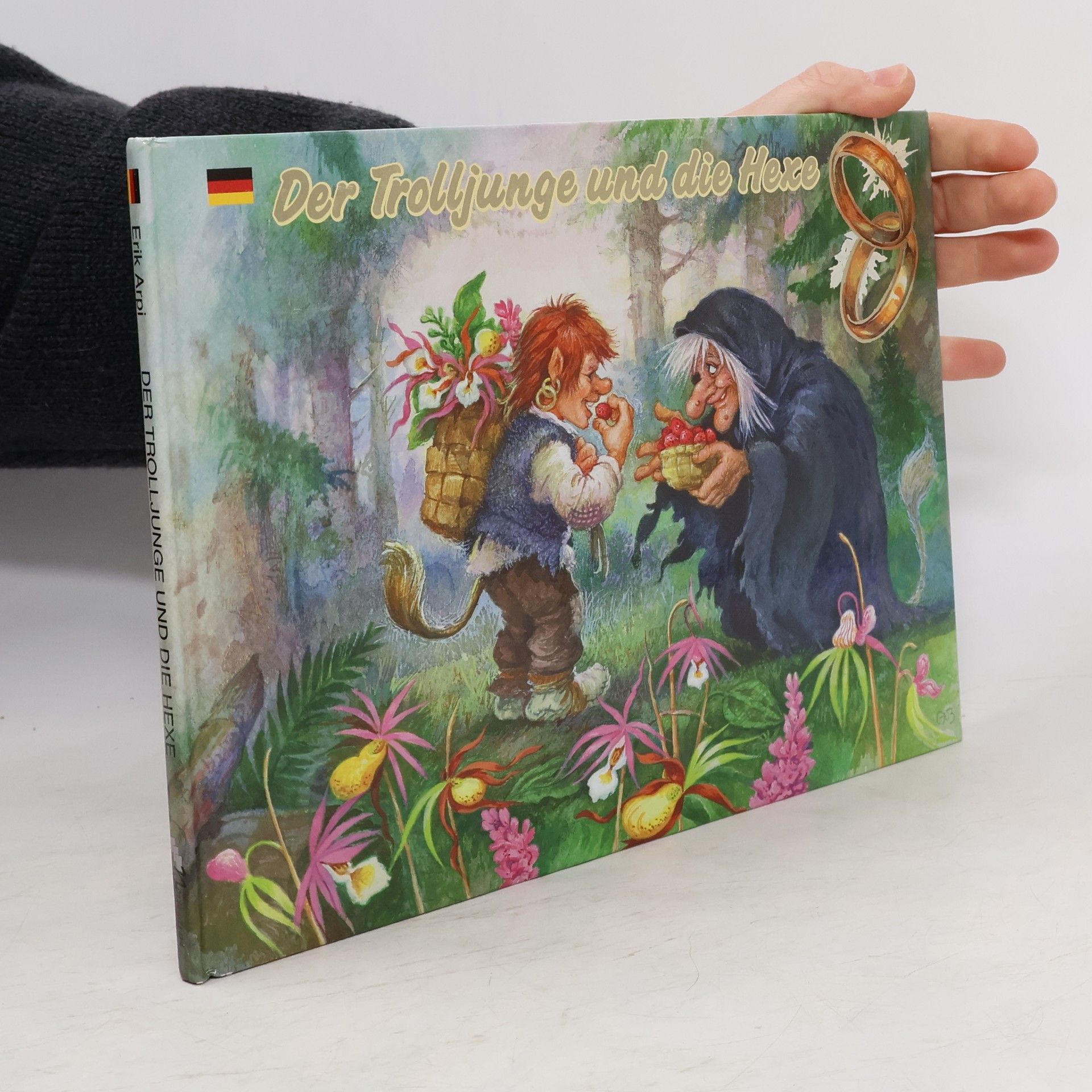 Autorenkollektiv Der Trolljunge und die Hexe