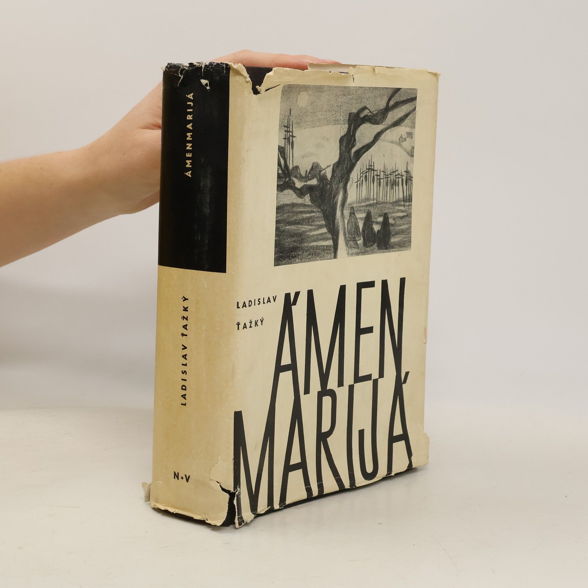 Ladislav Ťažký Ámenmarijá