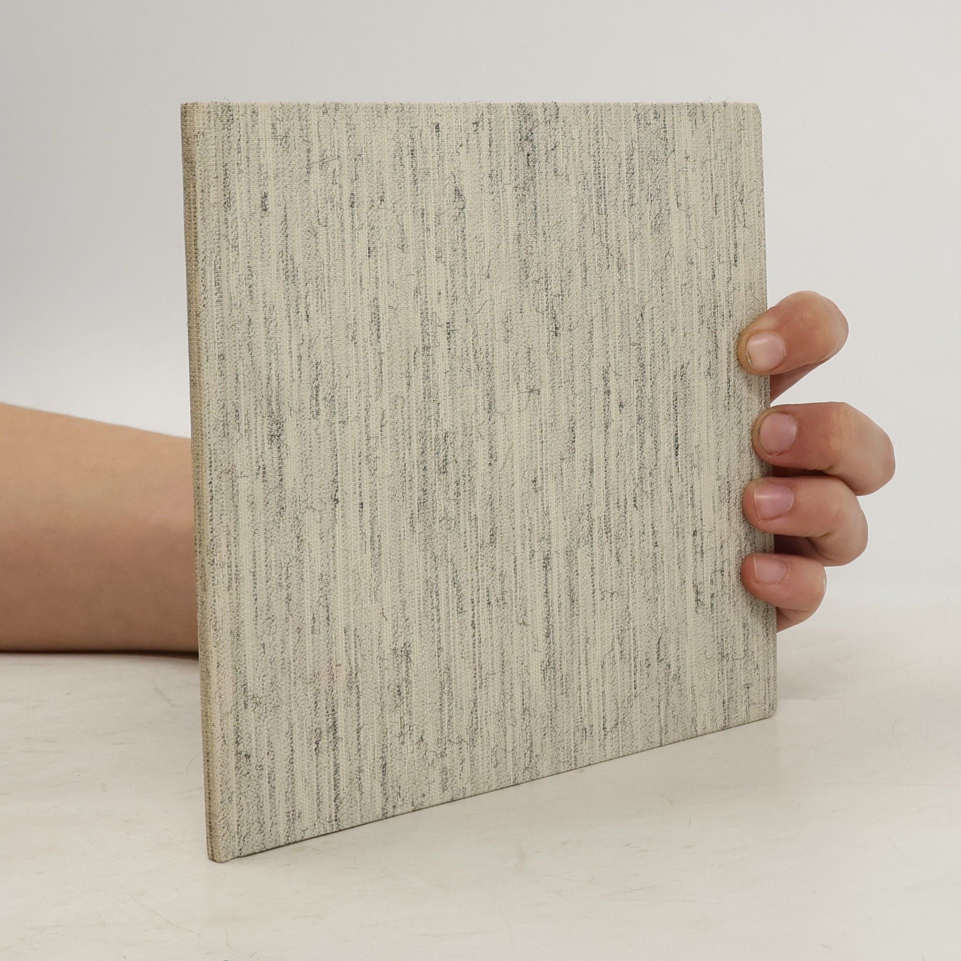 Autorenkollektiv Roskopf Miniaturmodelle. Geschütze der Vergangenheit