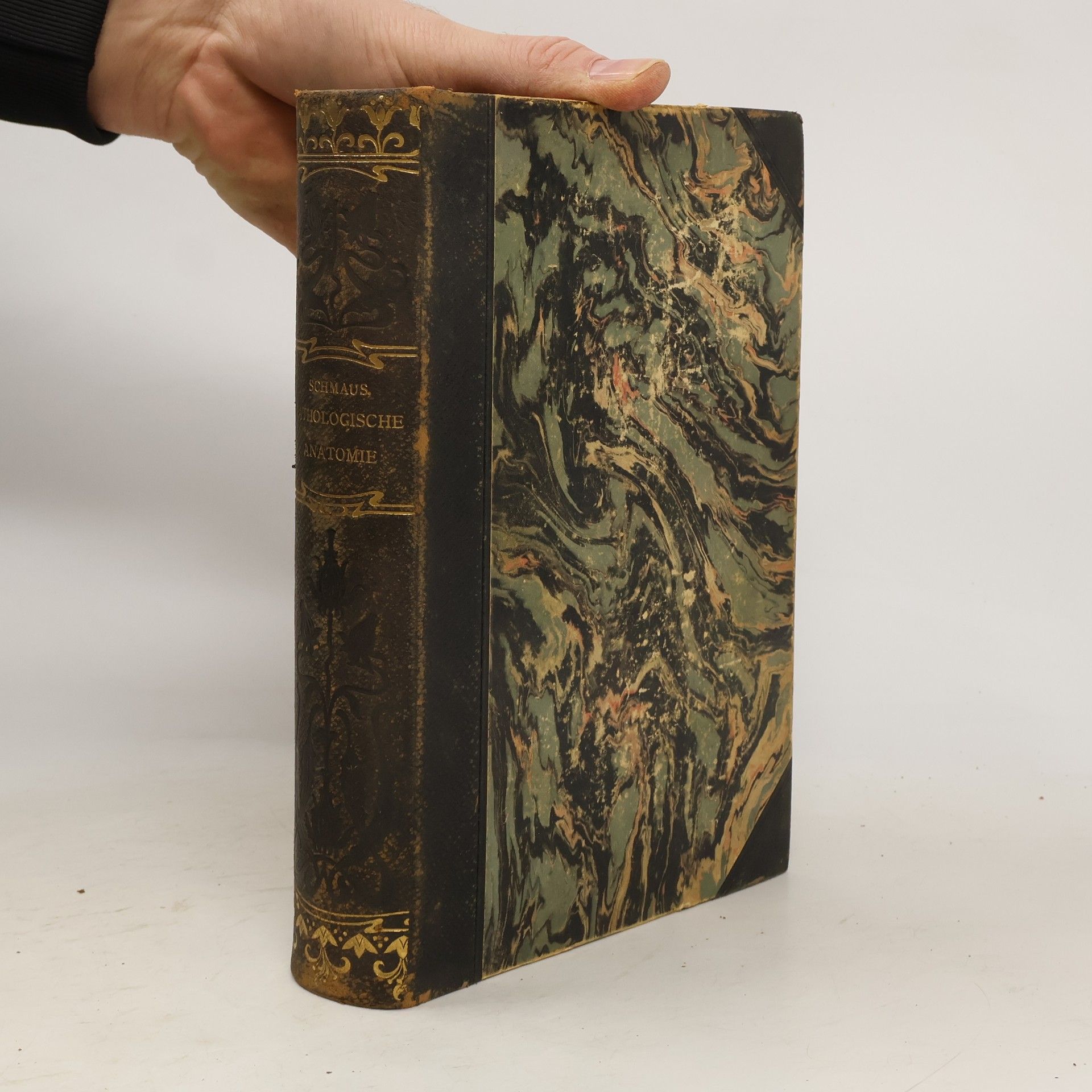 Hans Schmaus Grundriss der pathologischen Anatomie