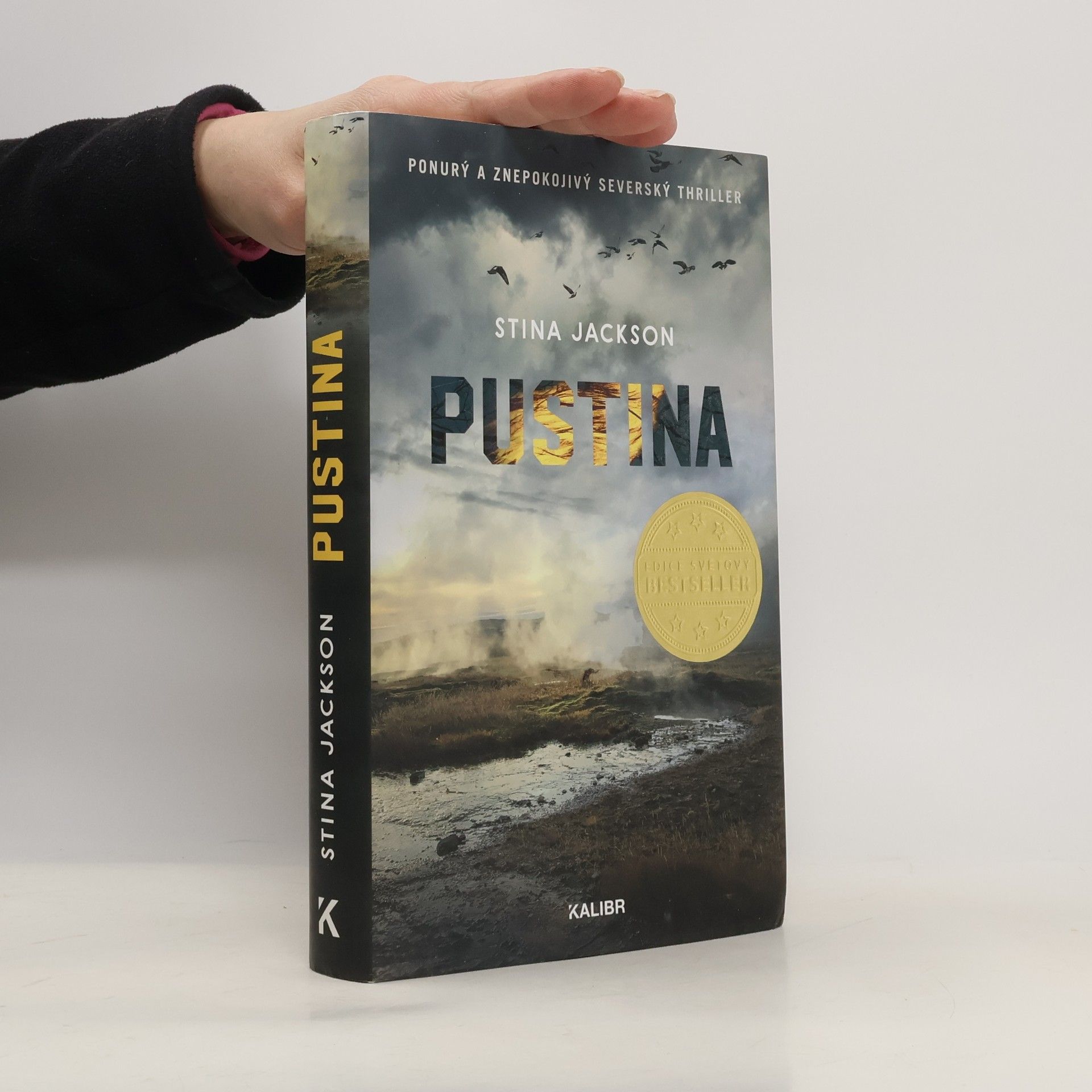 Stina Jackson Pustina