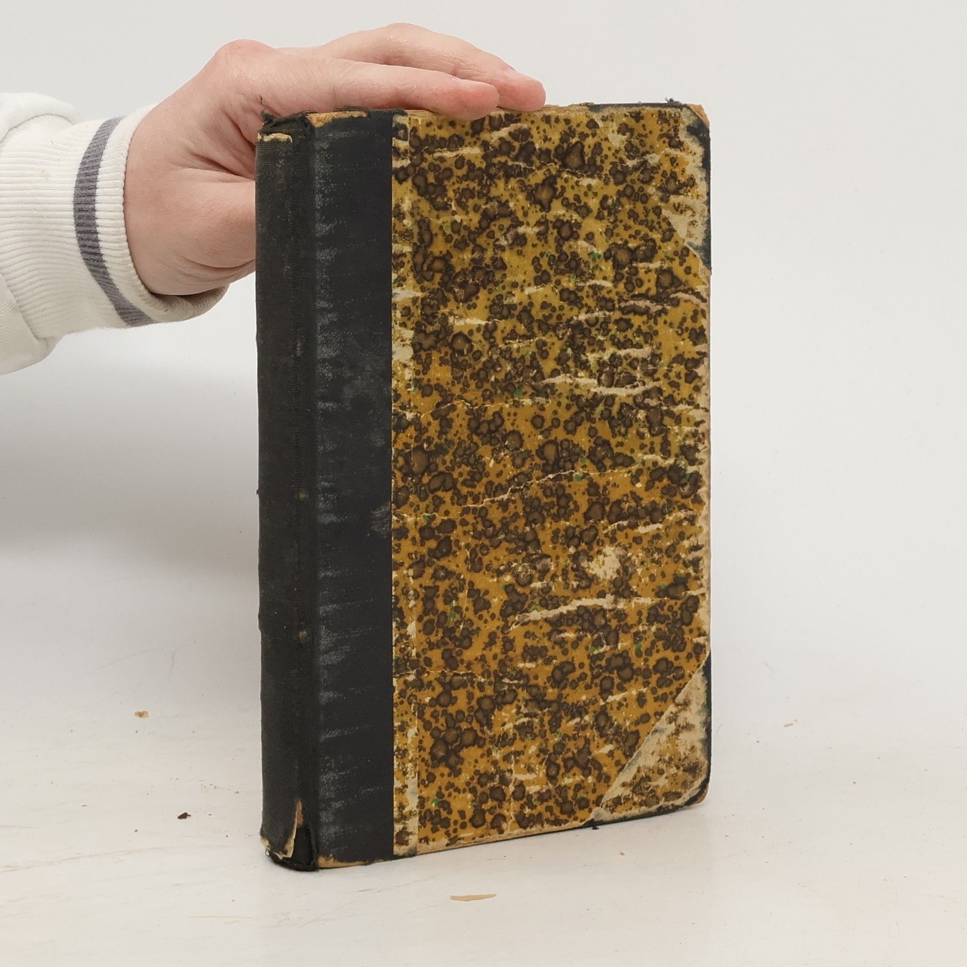 Jan Voborník Karel Hynek Mácha