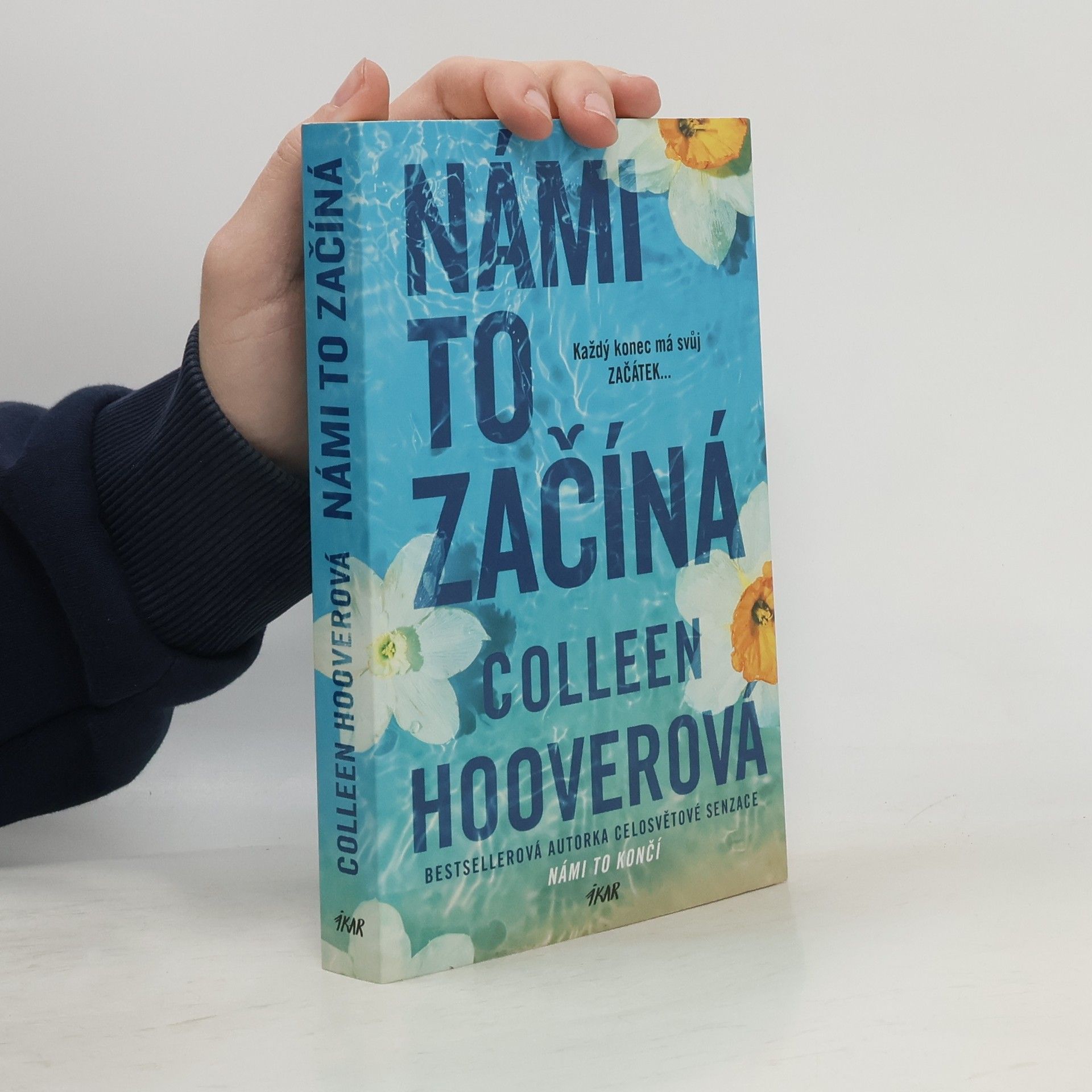 Colleen Hoover Námi to začíná