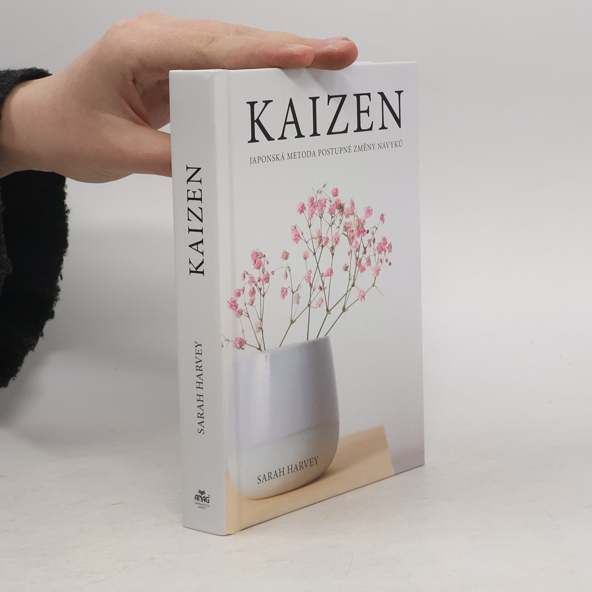 Sarah Harvey Kaizen: Japonská metoda postupné změny návyků