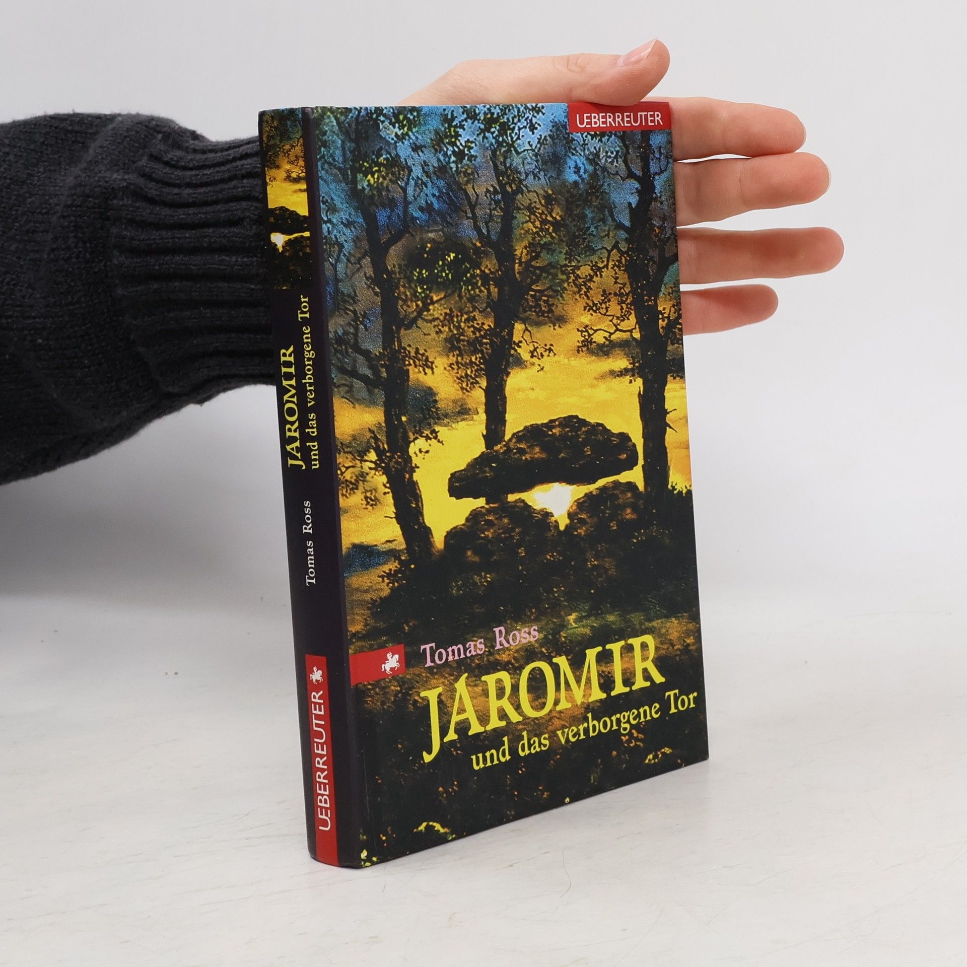 Tomas Ross Jaromir und das verborgene Tor