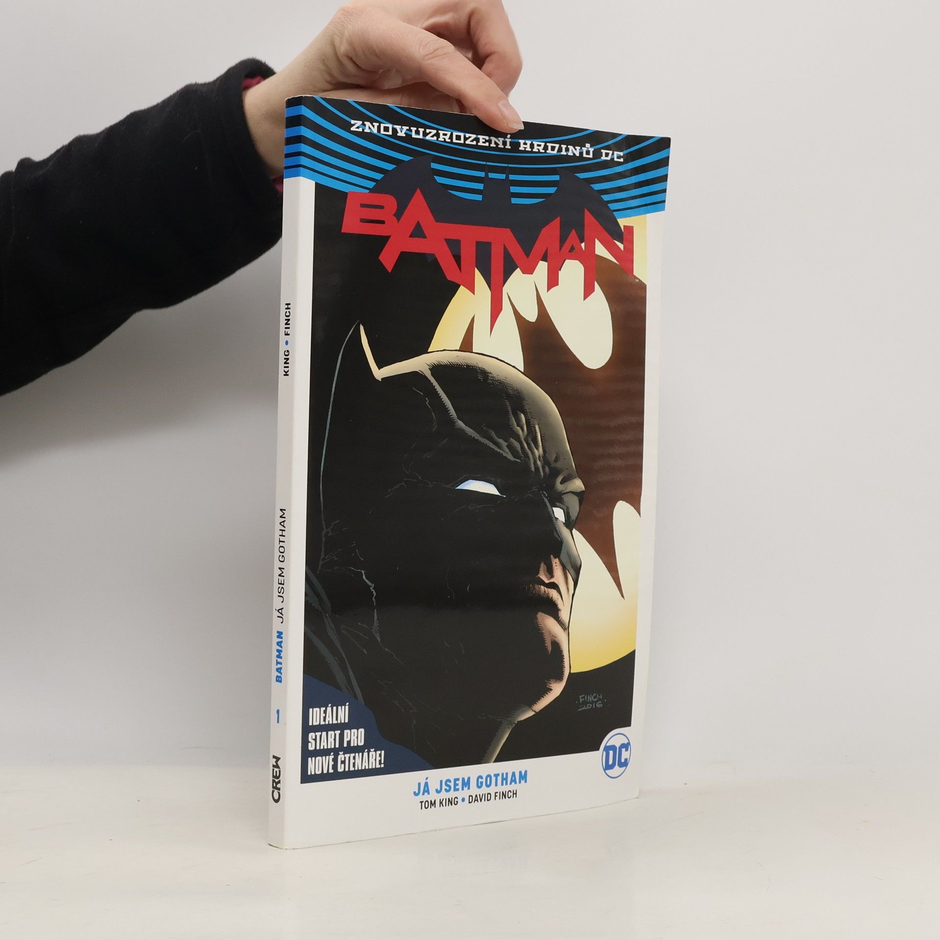 Kolektiv autorů Batman. 1. díl, Já jsem Gotham