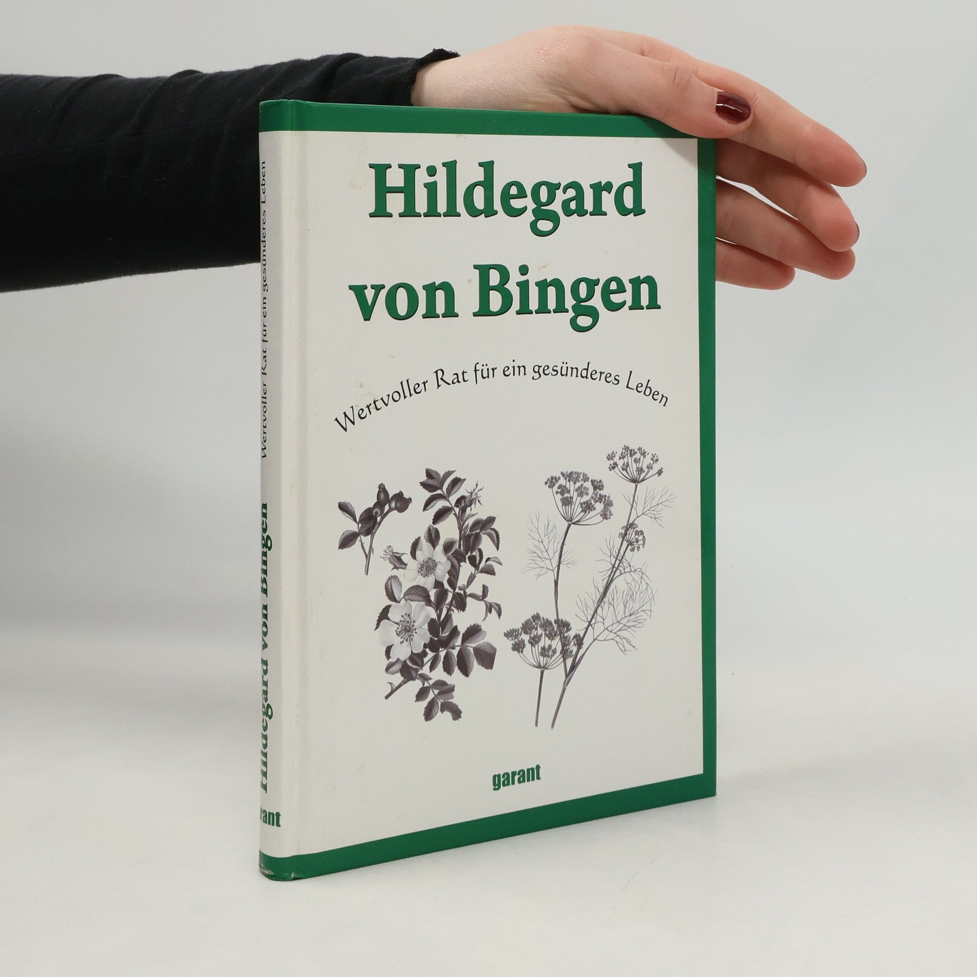 Hildegard of Bingen Hildegard von Bingen