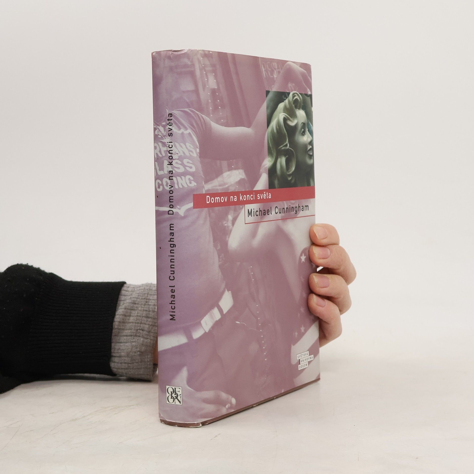 Michael Cunningham Domov na konci světa