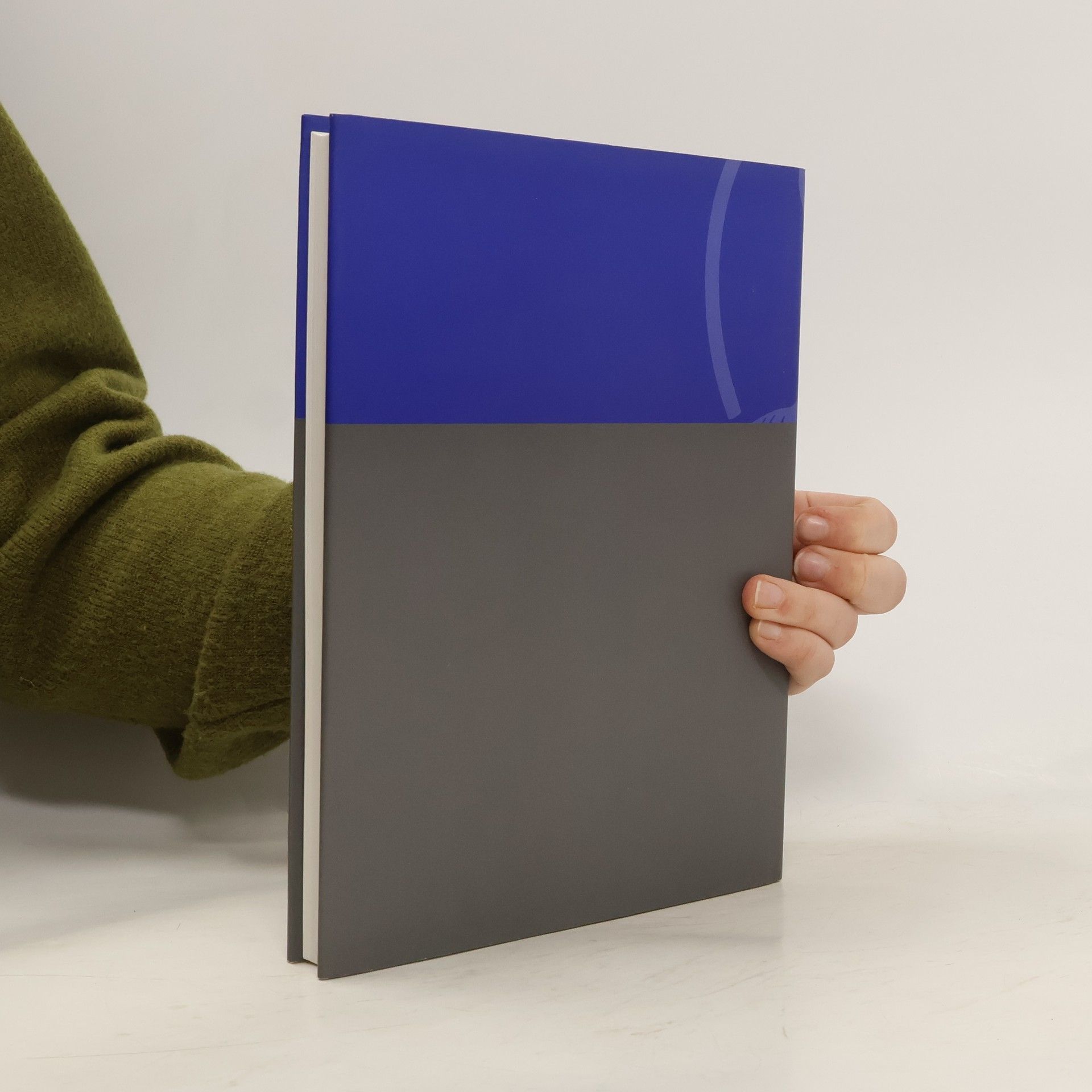 Jahrbuch der Heidelberger Akademie der Wissenschaften für 2004