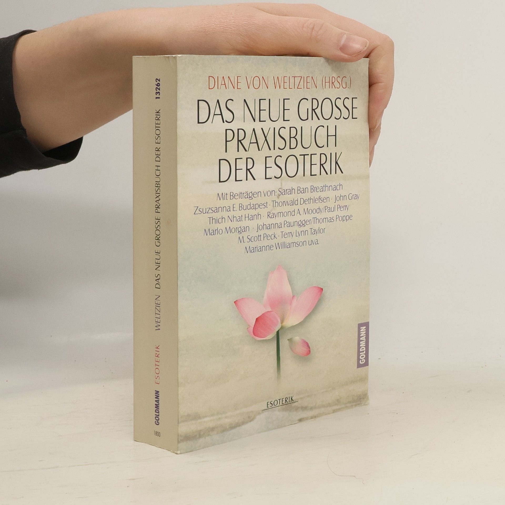 Das neue grosse Praxisbuch der Esoterik