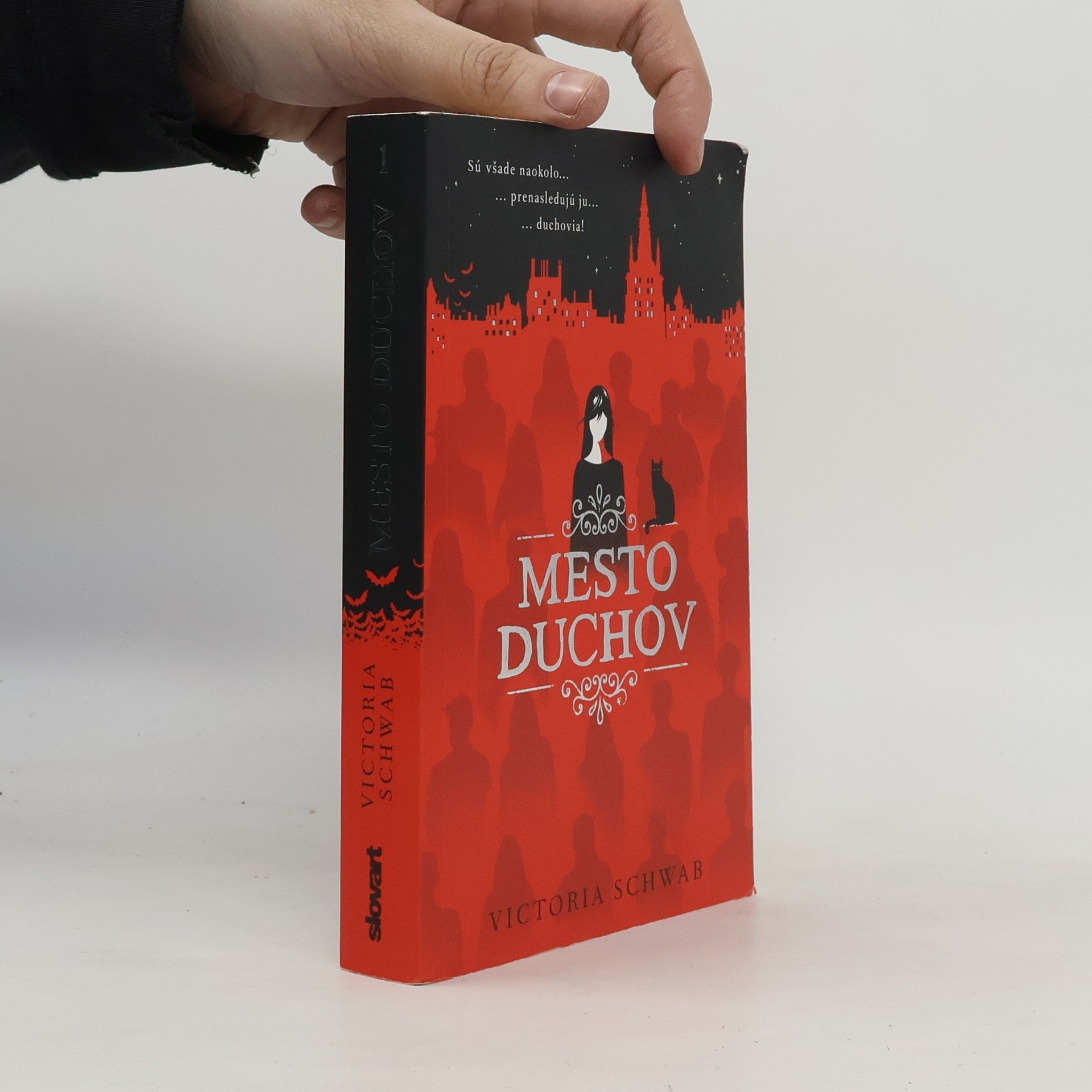 V. E. Schwab Mesto duchov