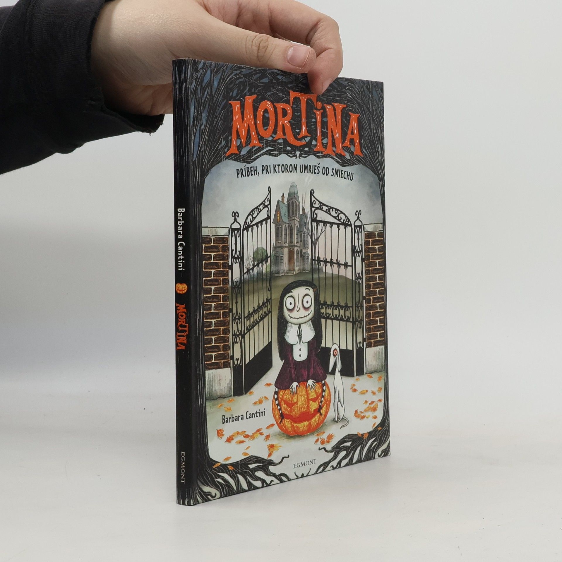 Barbara Cantini Mortina