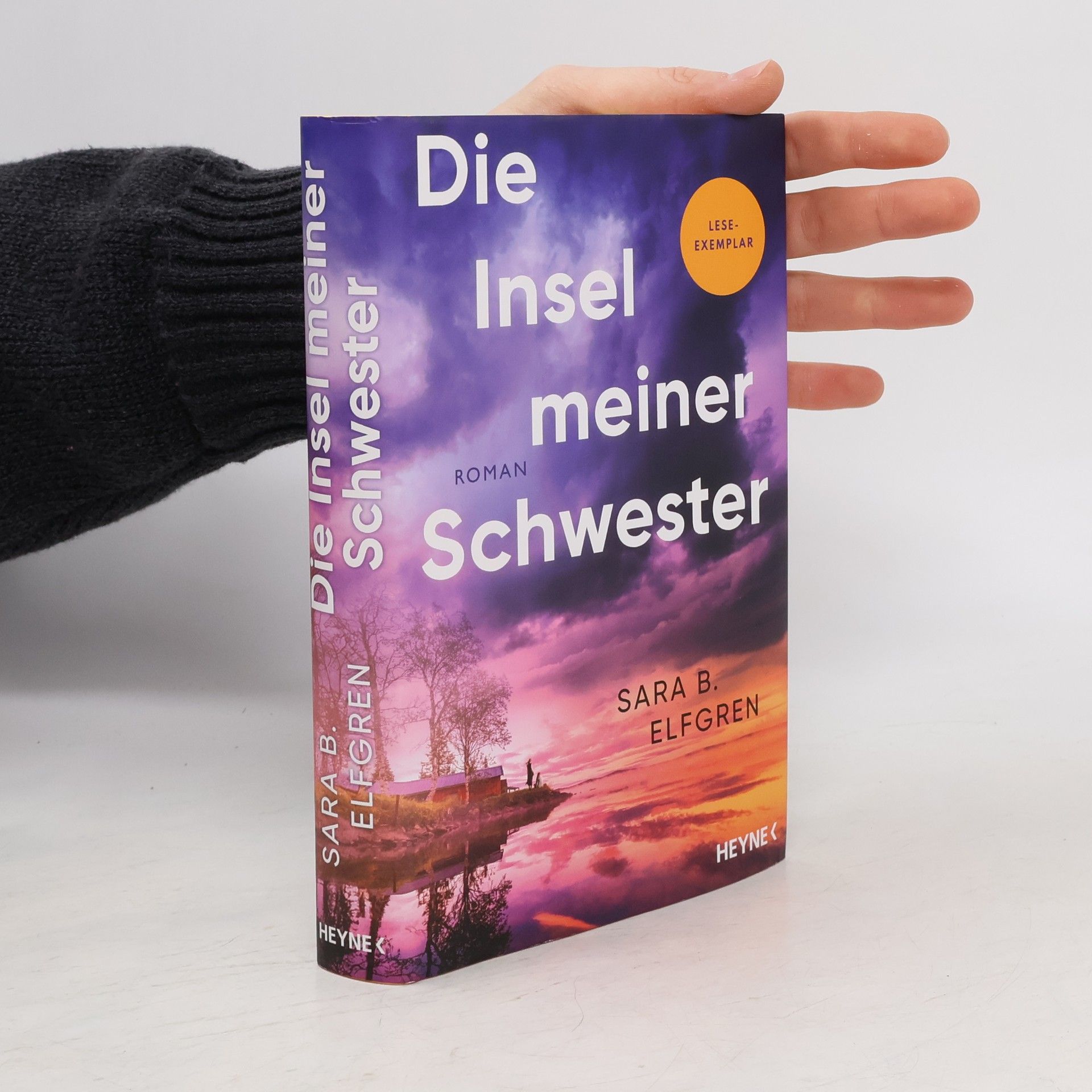 Sara B. Elfgren Die Insel meiner Schwester