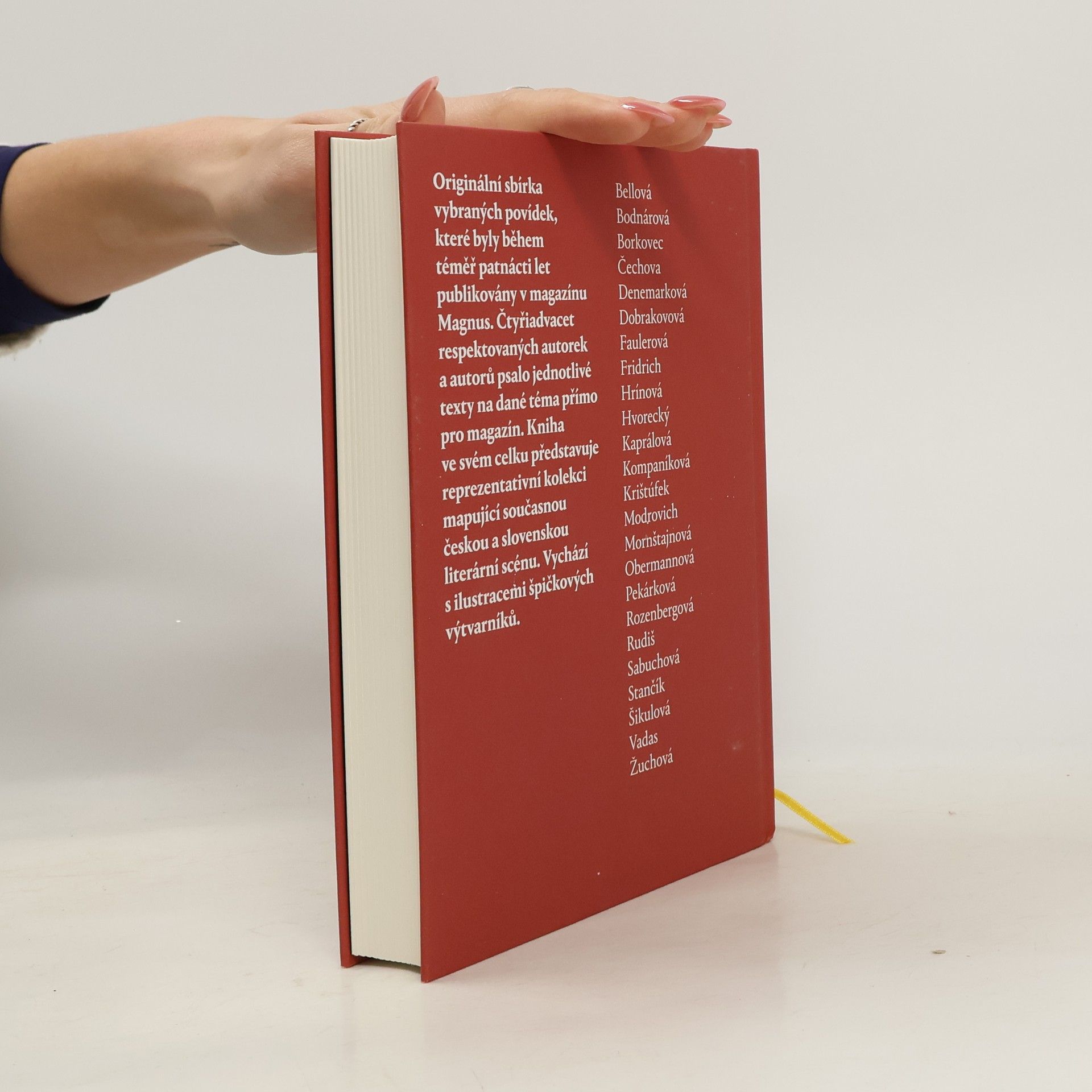 Collectif d'auteurs Magnustory