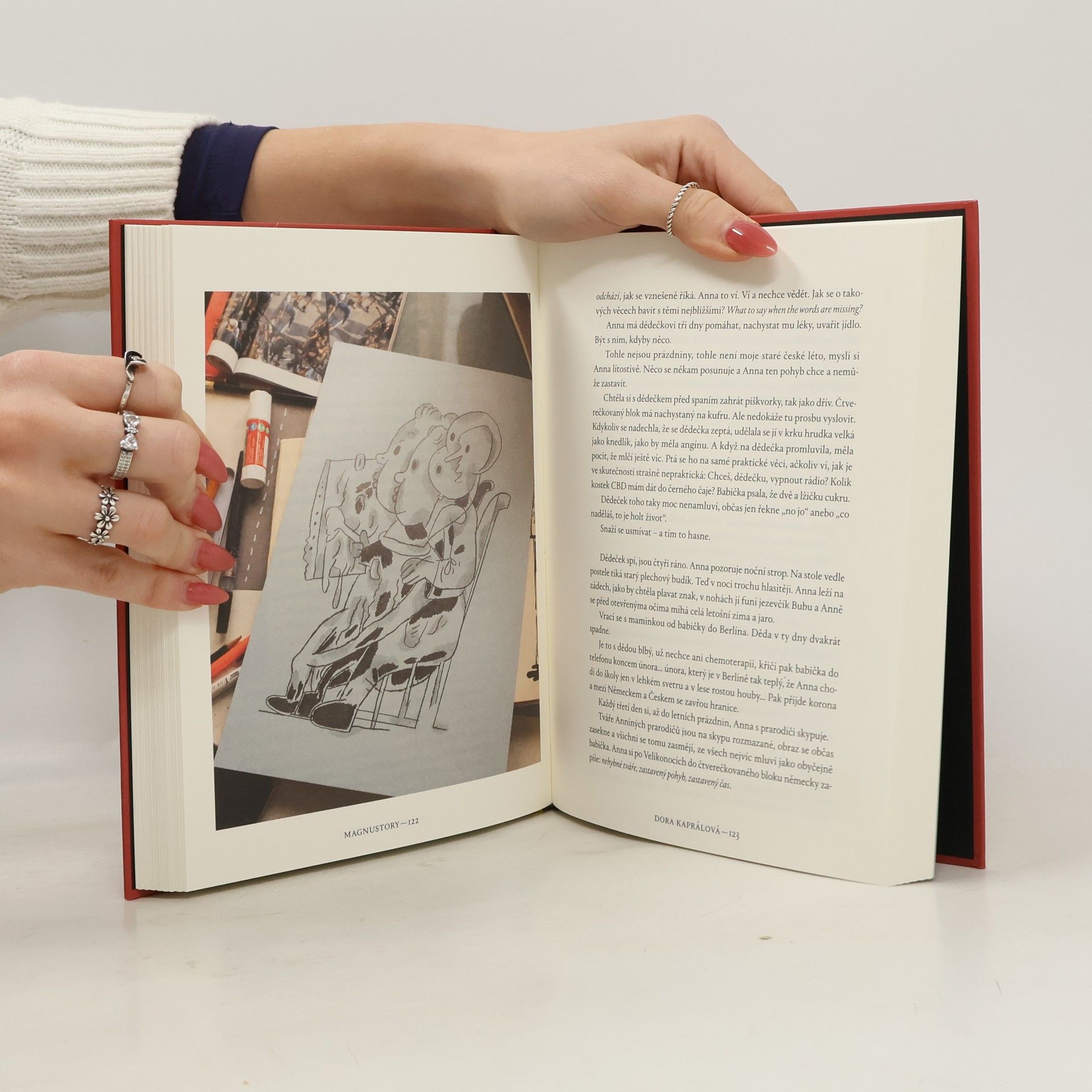Collectif d'auteurs Magnustory