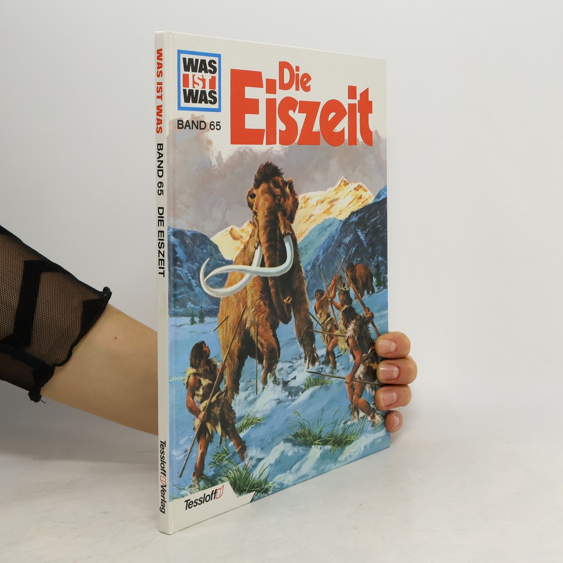 Die Eiszeit