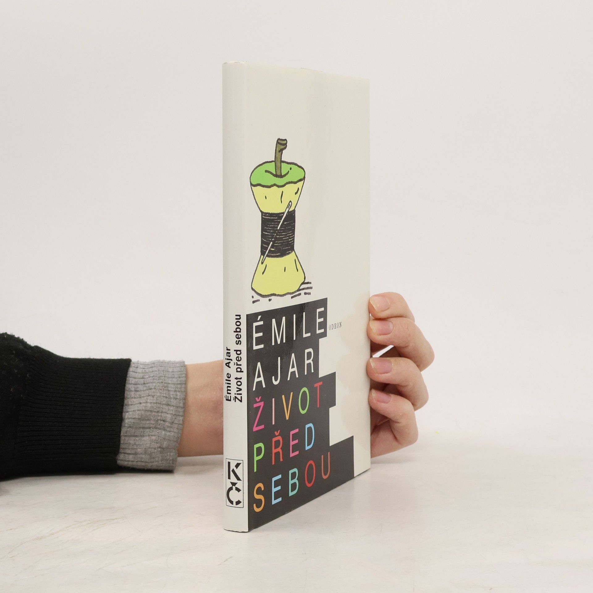 Romain Gary Život před sebou