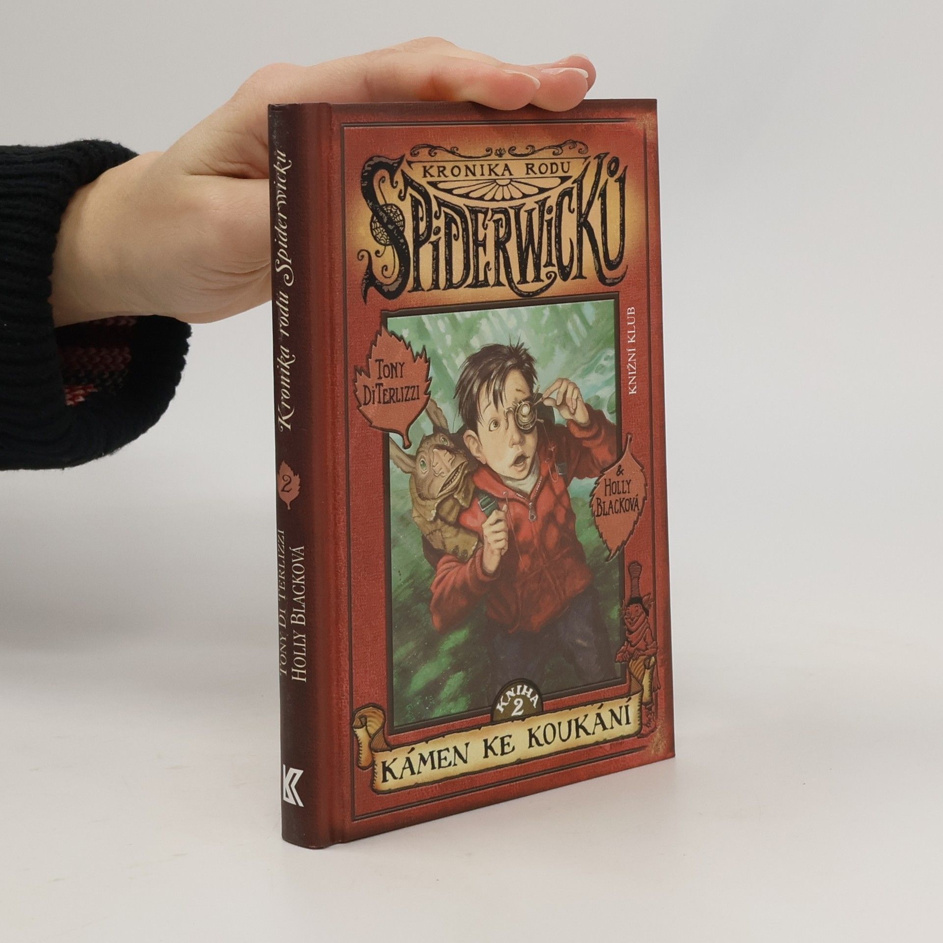 Tony DiTerlizzi Kronika rodu Spiderwicků. Kniha 2., Kámen ke koukání