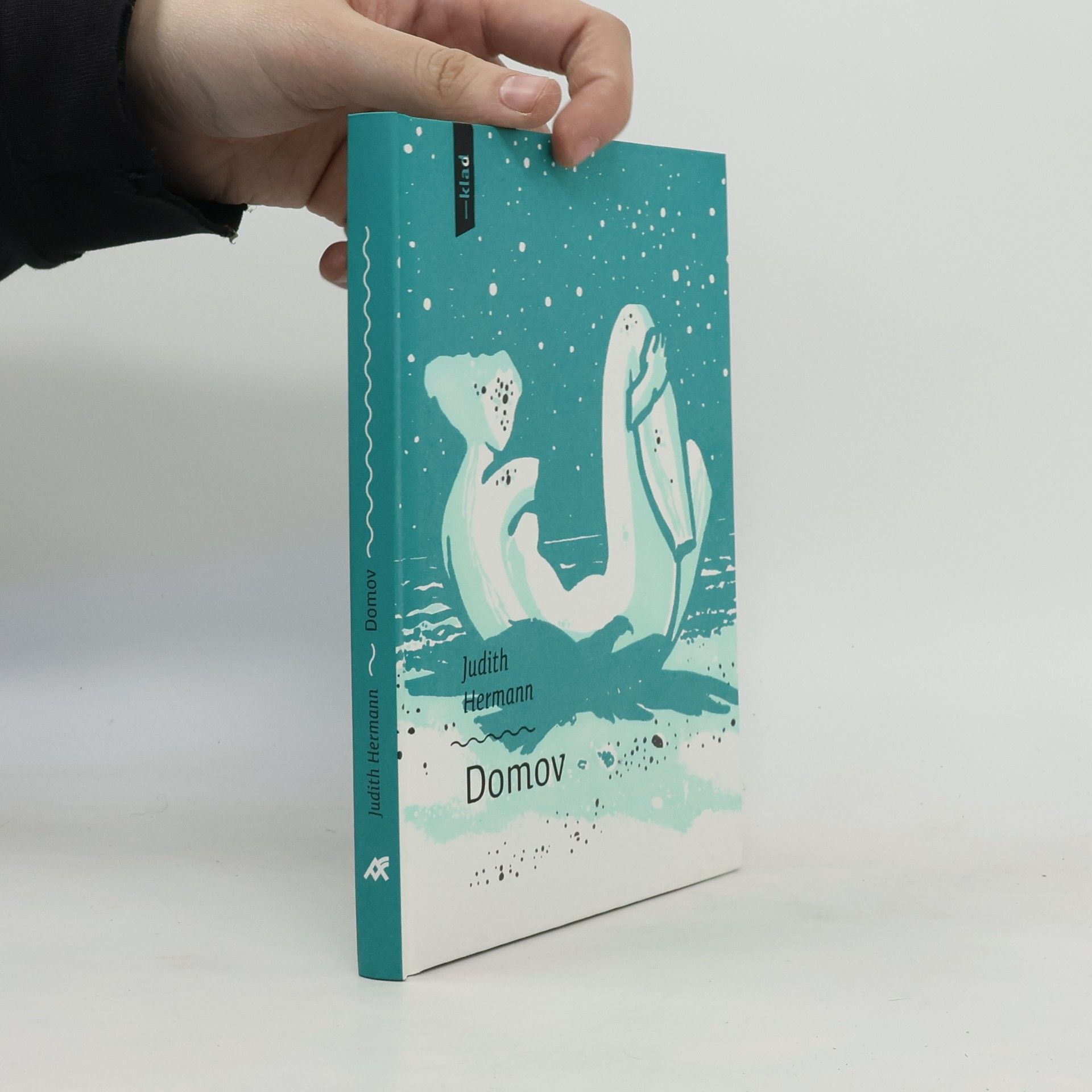 Judith Hermann Domov