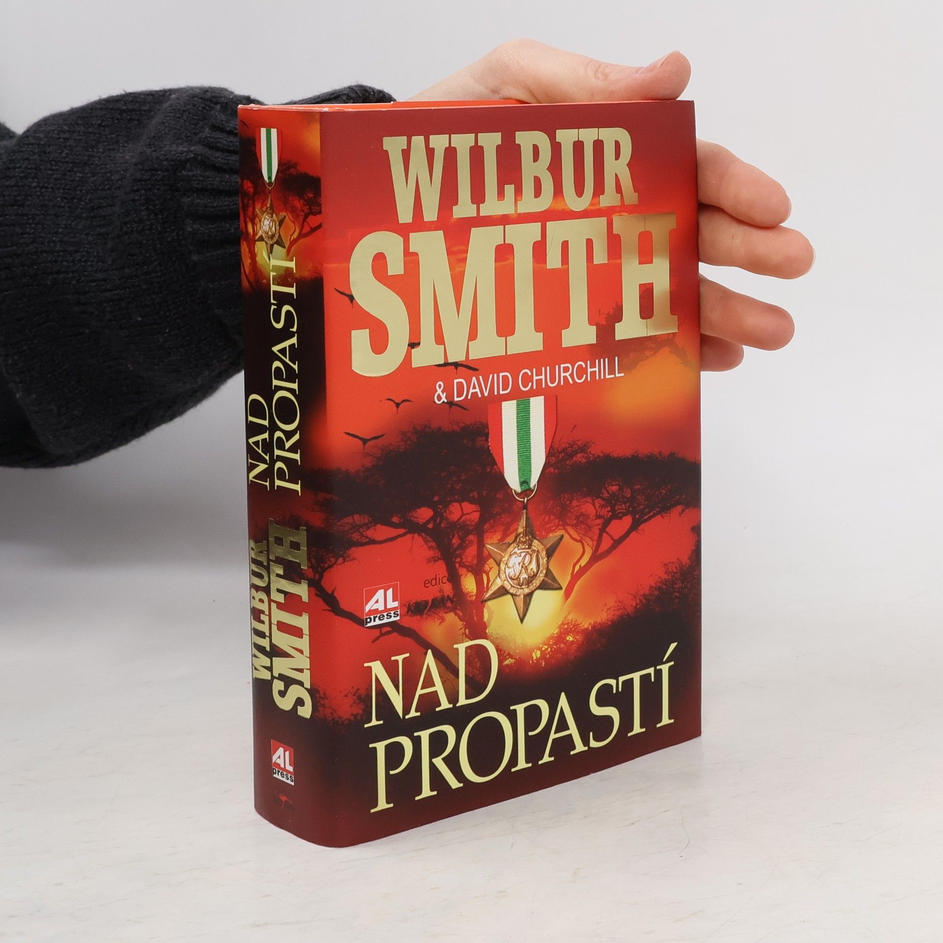Wilbur A. Smith Nad propastí