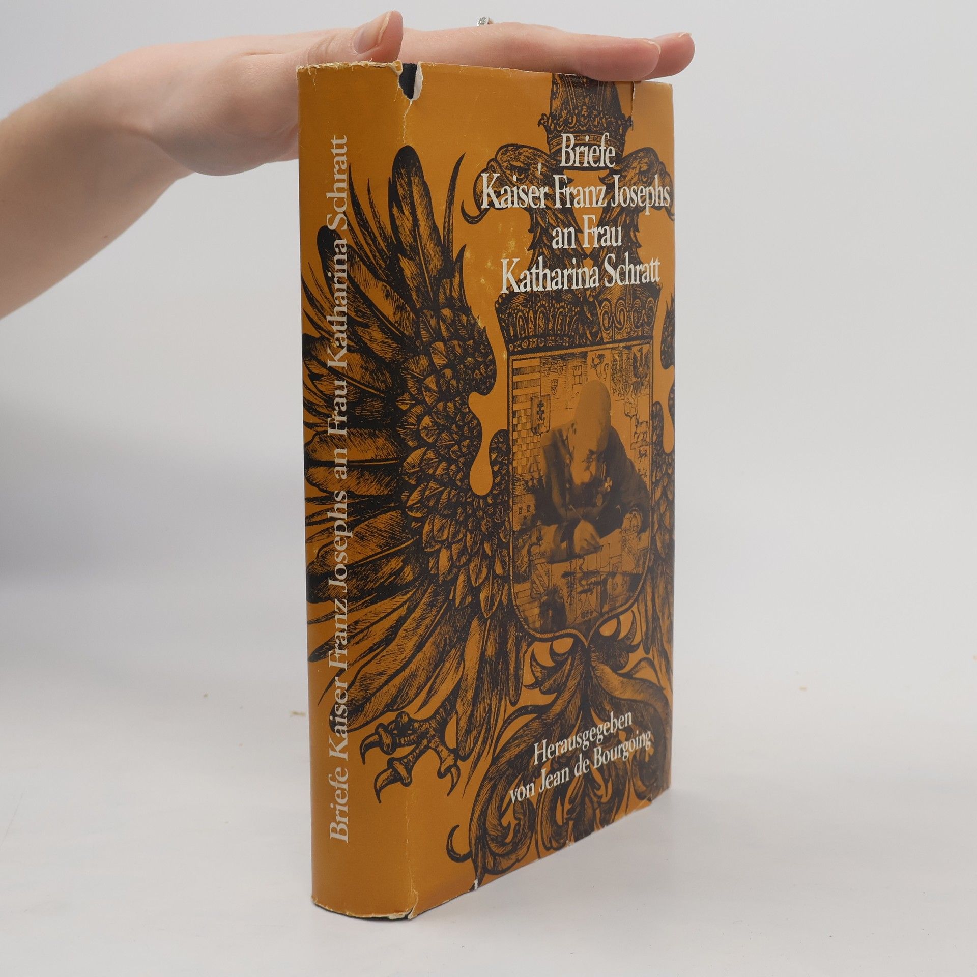 Kolektív autorov Briefe Kaiser Franz Josephs an Frau Katharina Schratt