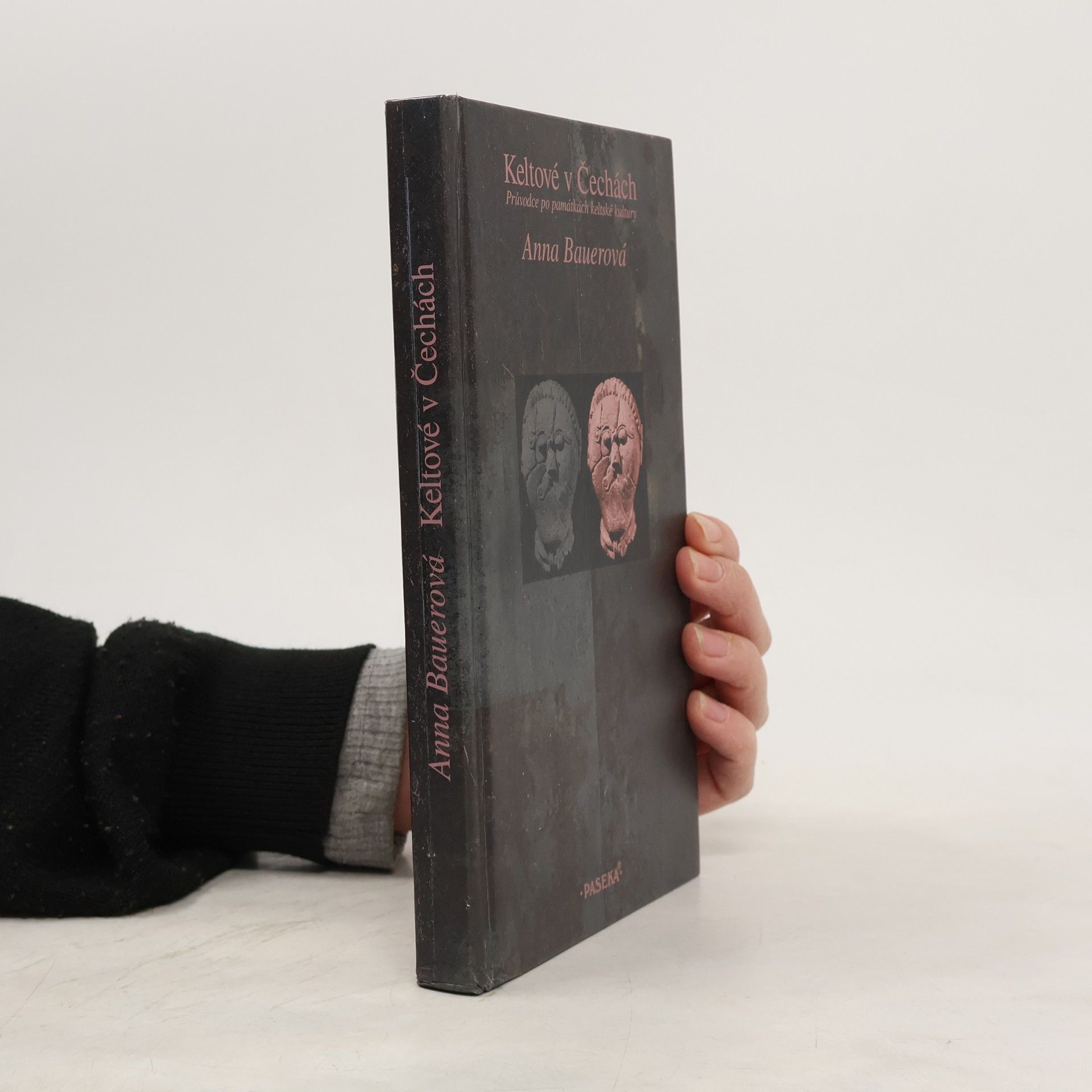 Anna Bauer Keltové v Čechách: Průvodce po památkách keltské kultury