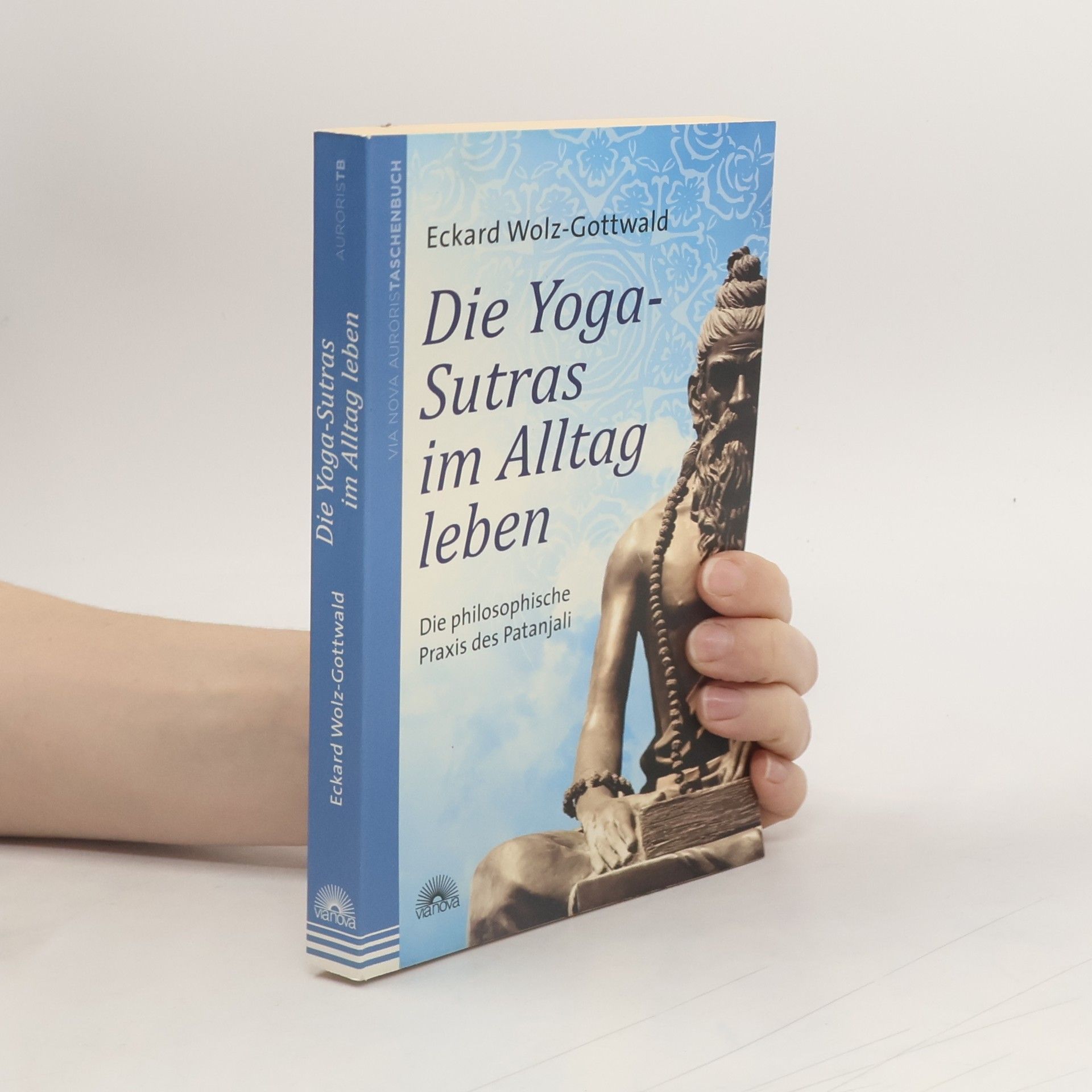 Eckard Wolz-Gottwald Die Yoga-Sutras im Alltag leben