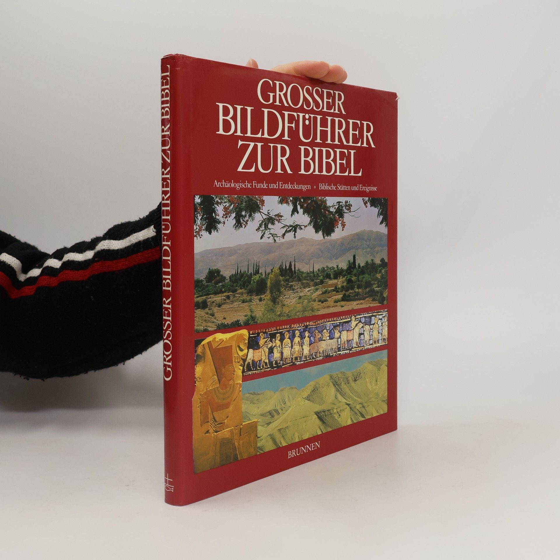 Caroline Masom Grosser Bildführer zur Bibel