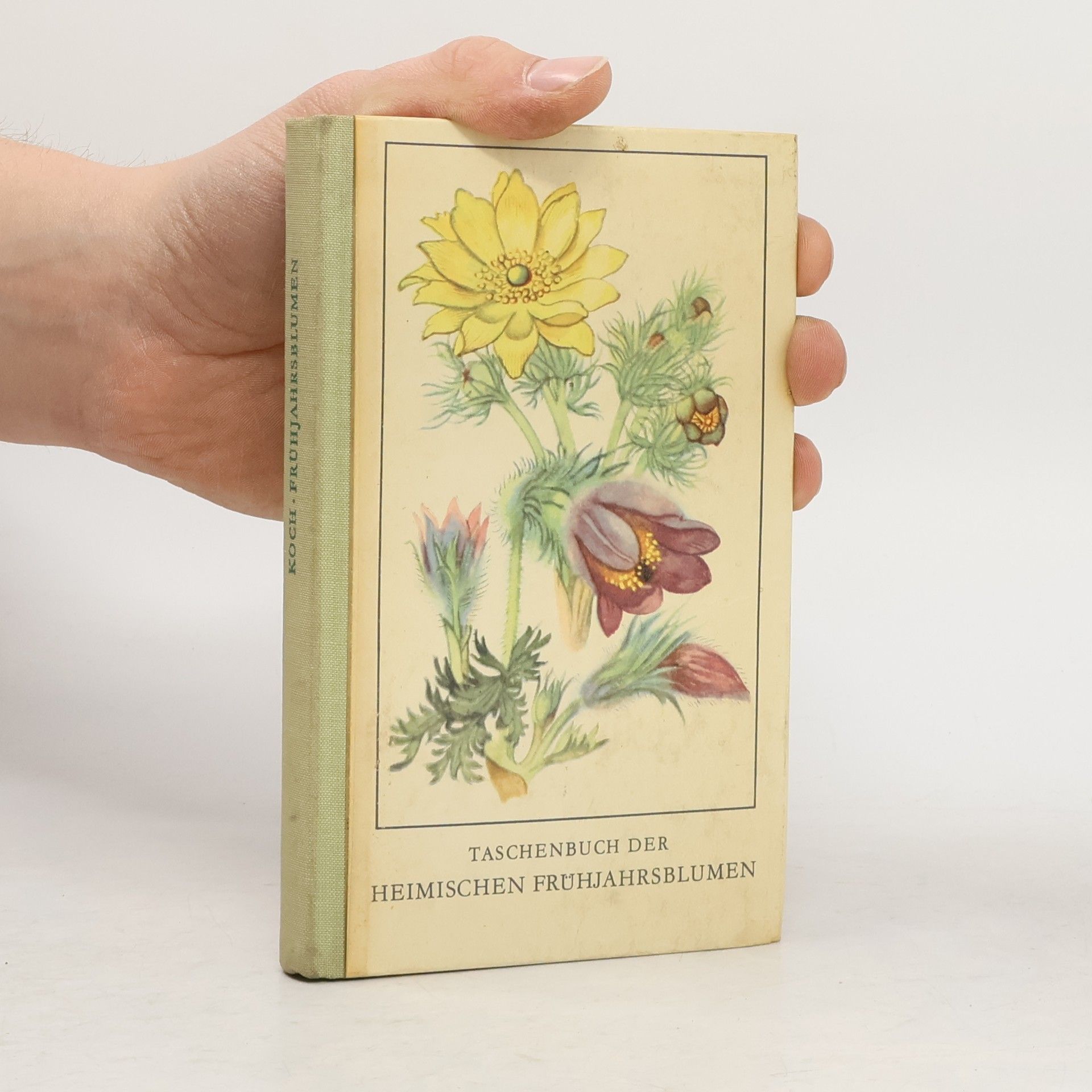 Fritz Koch Tachenbuch der Heimischen Frühjahrsblumen