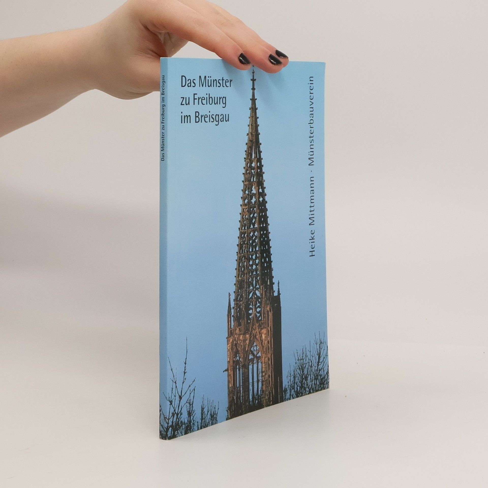 Heike Mittmann Das Münster zu Freiburg im Breisgau