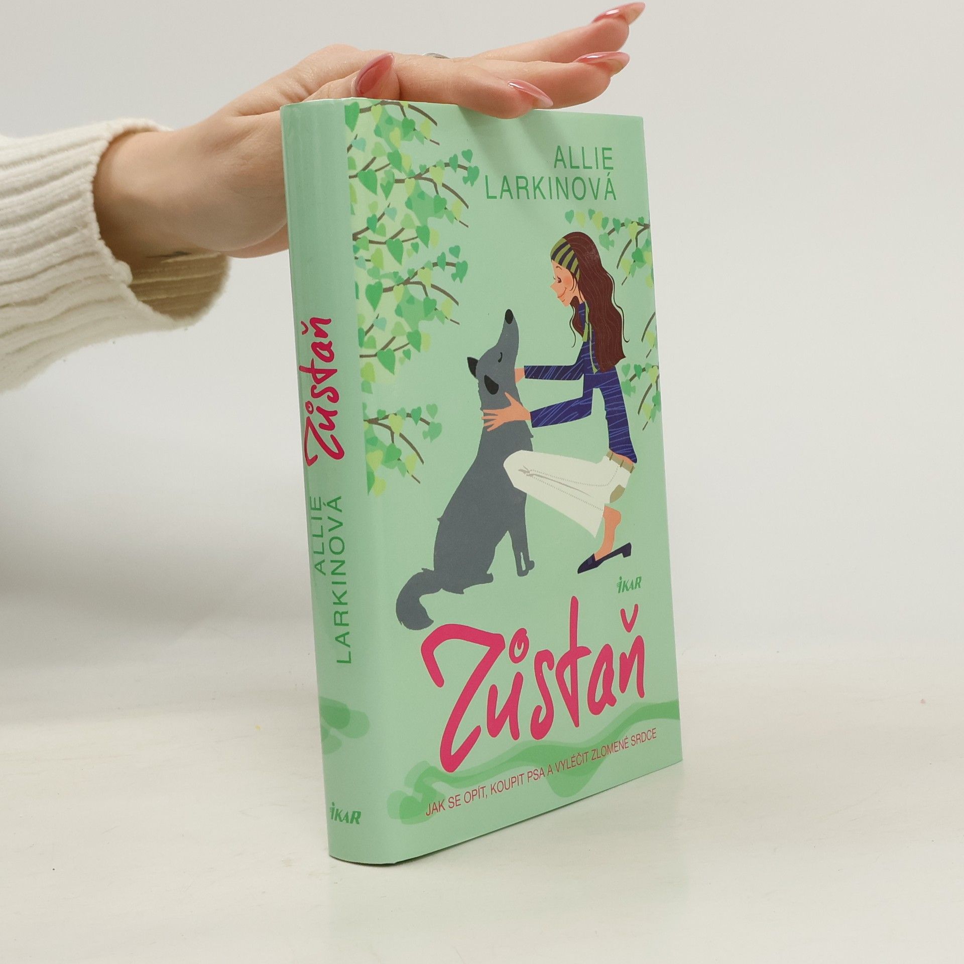 Allie Larkin Zůstaň. Jak se opít, koupit psa a vyléčit zlomené srdce