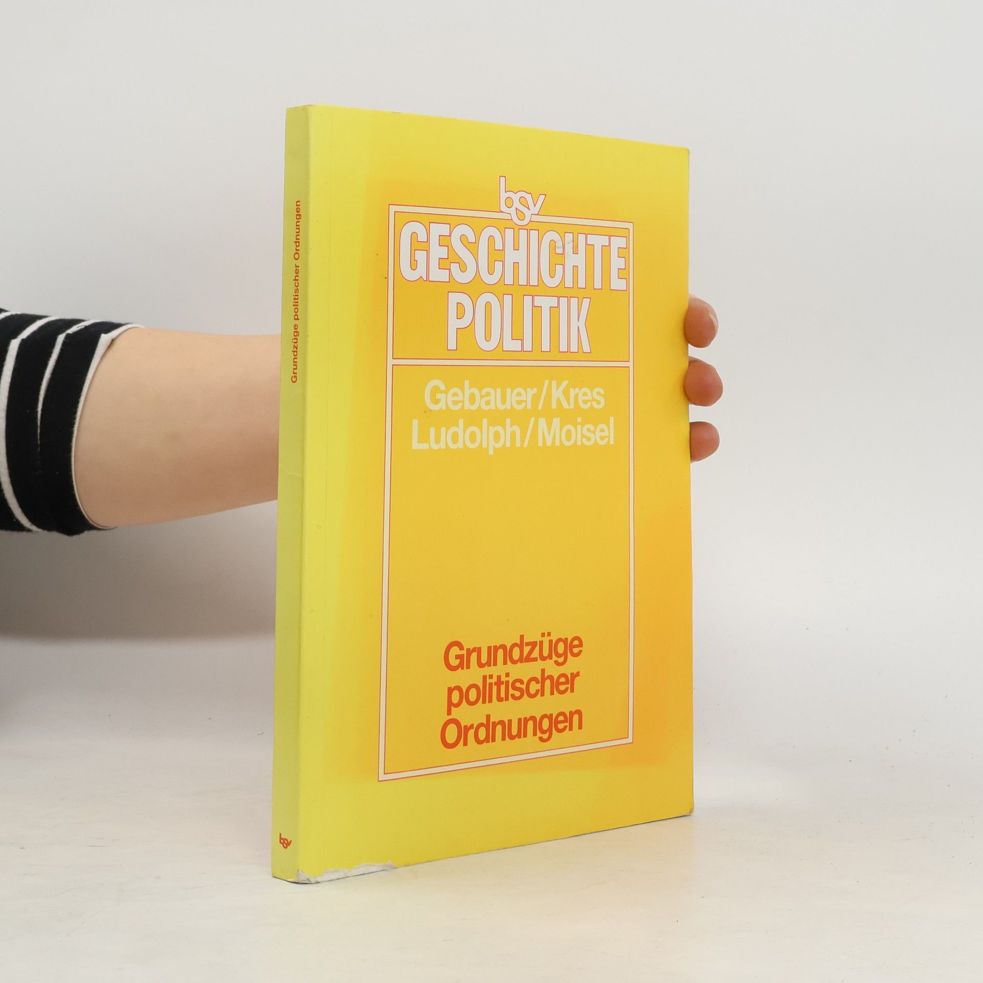 Geschichte Politik, Grundzüge politischer Ordnung