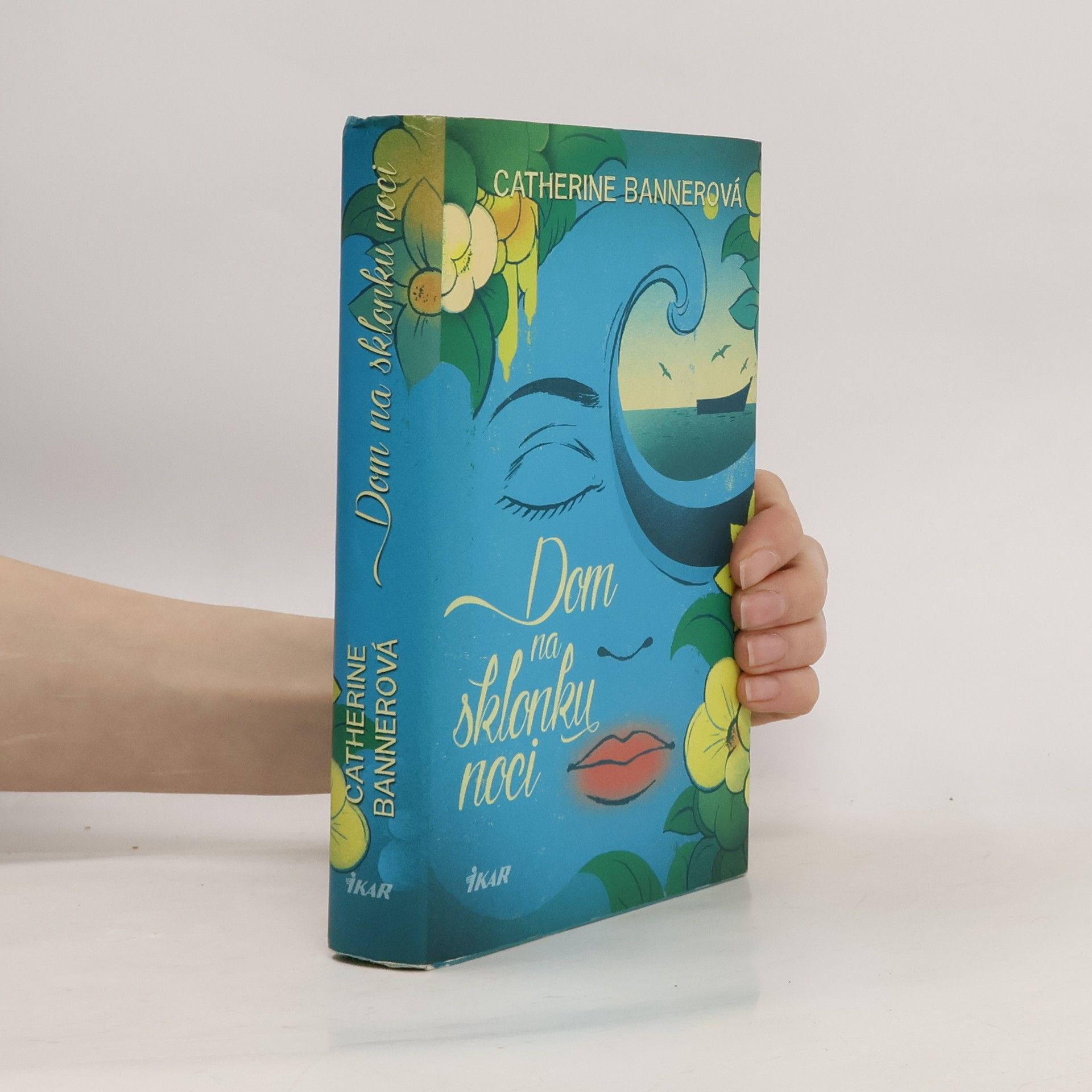 Catherine Banner Dom na sklonku noci