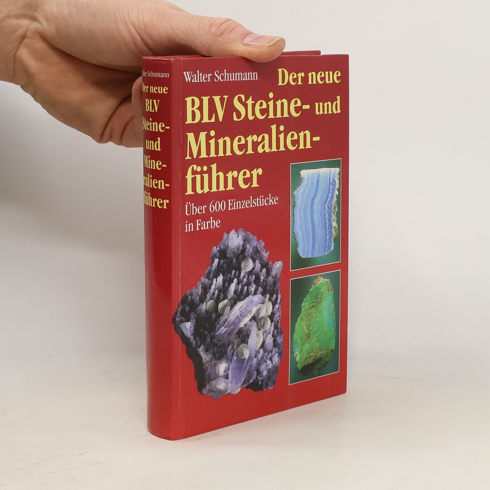 Walter Schumann Der neue BLV Steine - und Mineralienführer