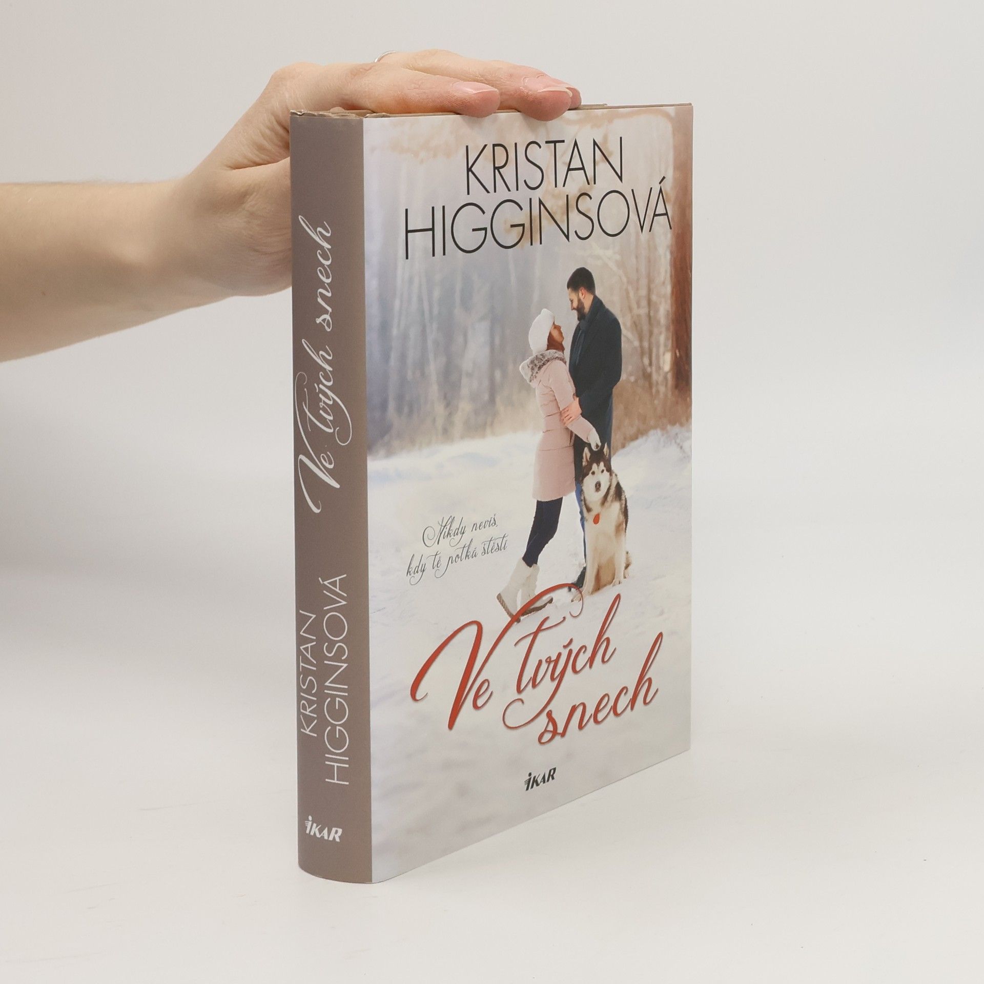 Kristan Higgins Ve tvých snech