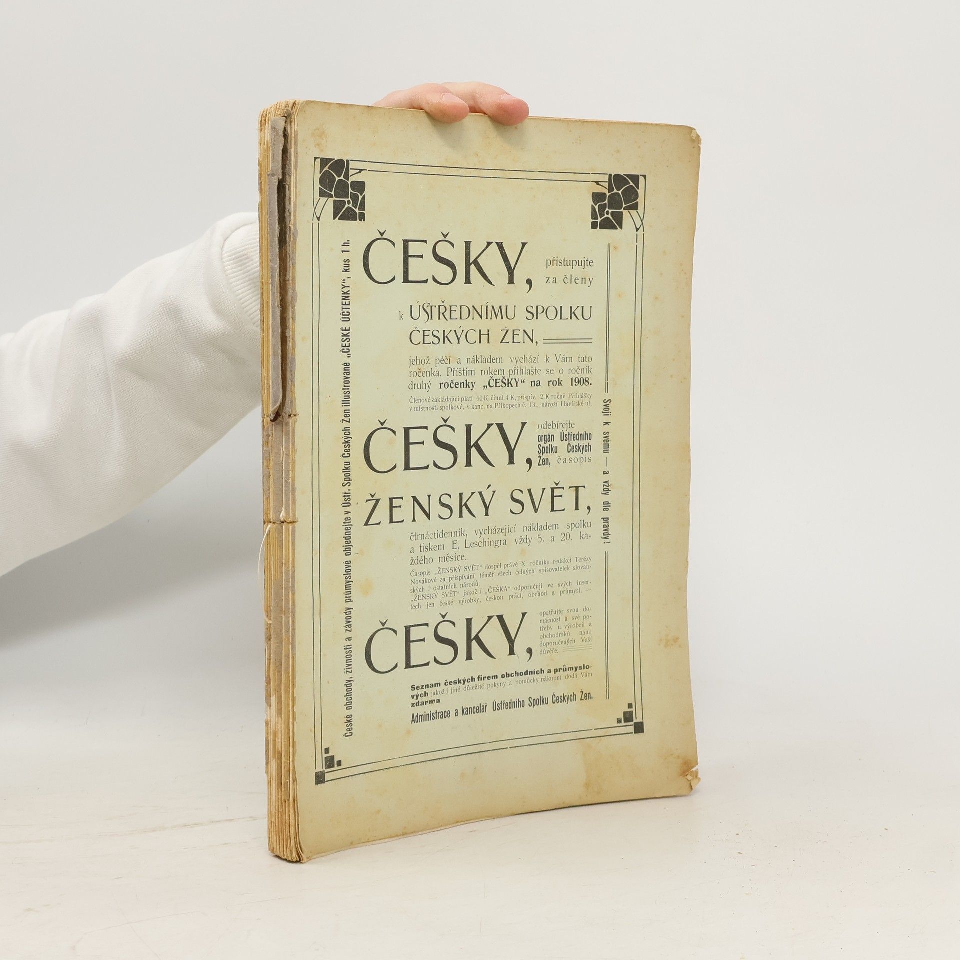 Kolektív autorov Češky